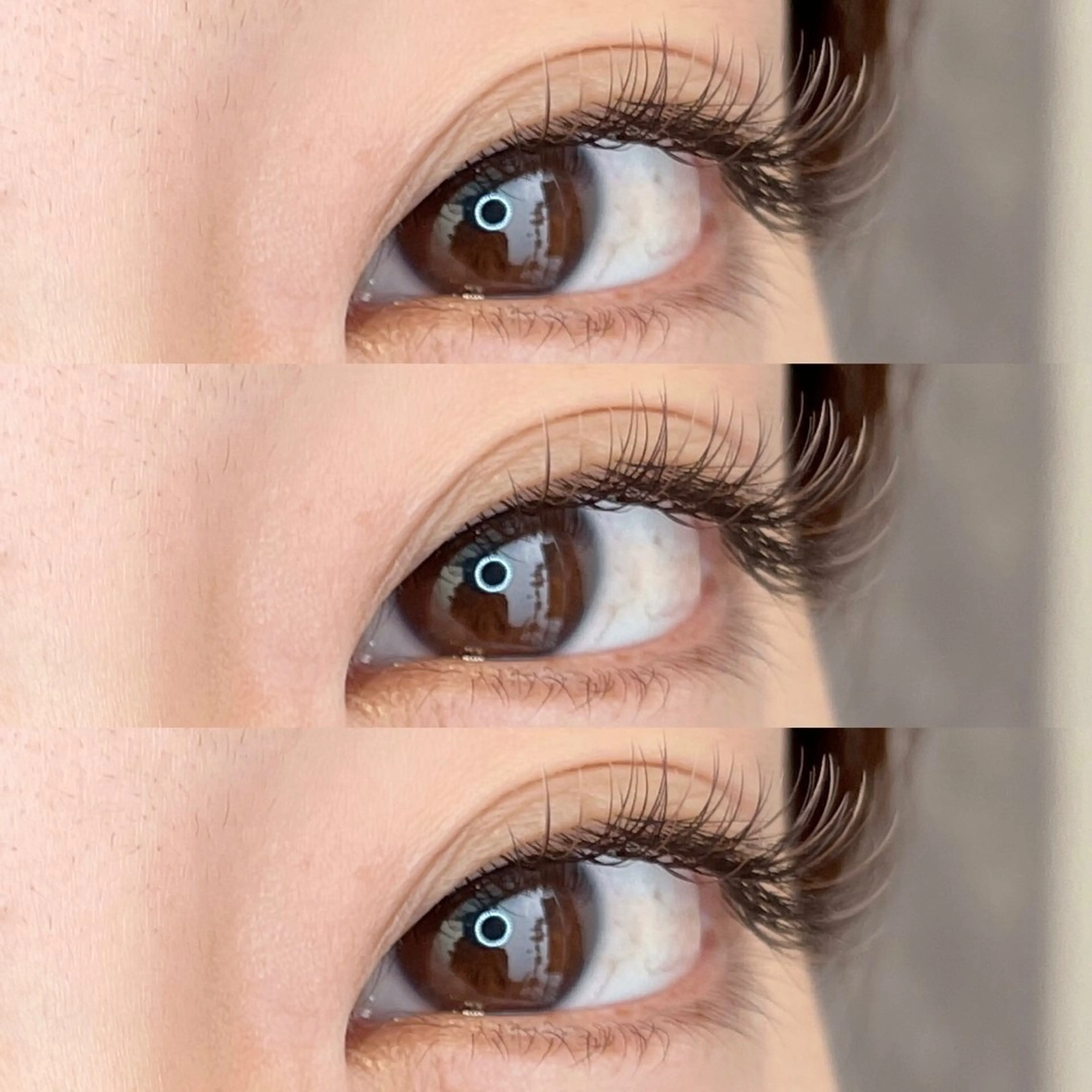 マツエク・マツパ カラーマツエク 韓国風マツエク まつげパーマ warme𓂂𓂃 fukaのヘアスタイル