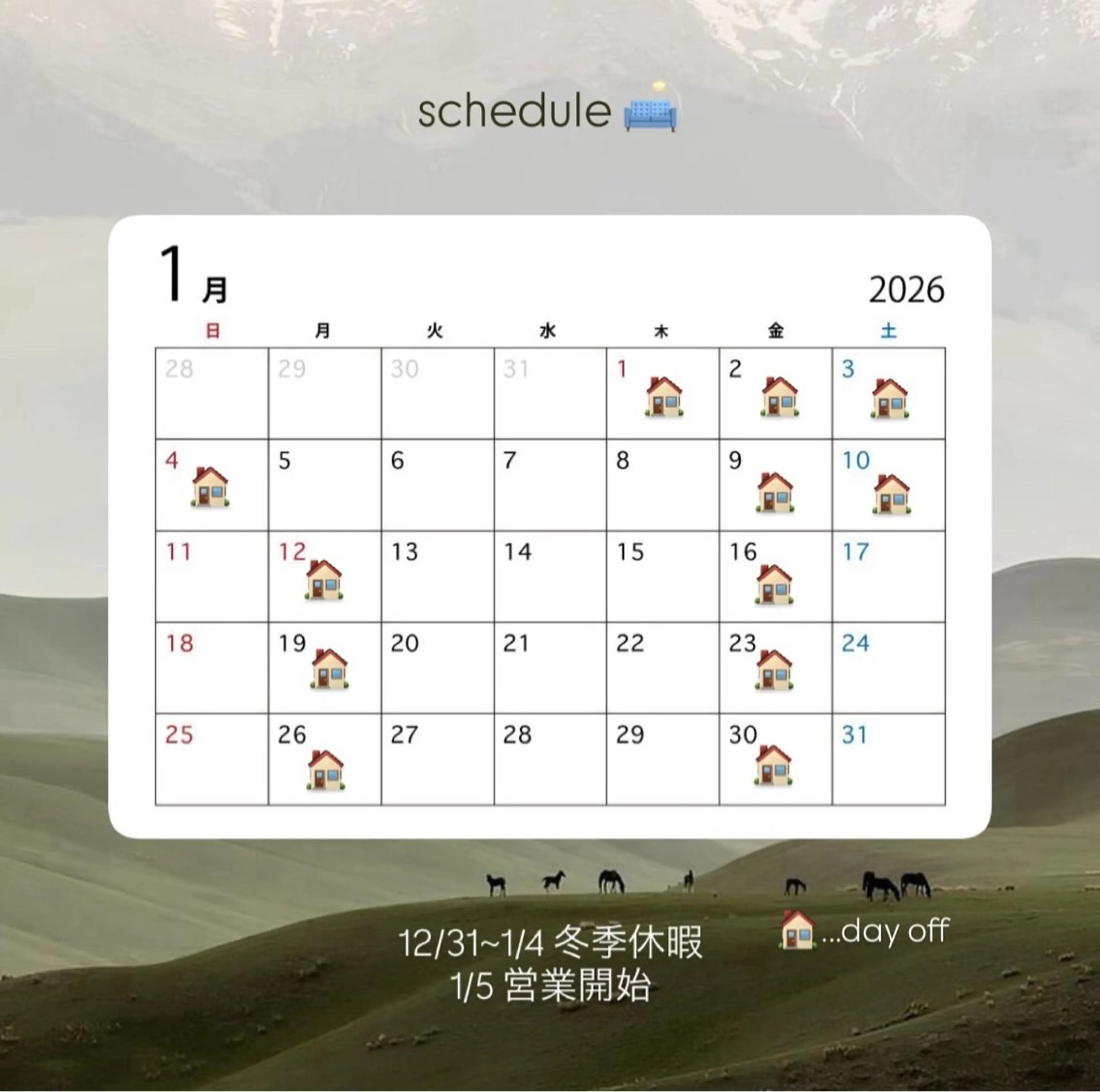 ネイル ジェルネイル ハンドネイル NORA南青山/ kanohaのネイルデザイン