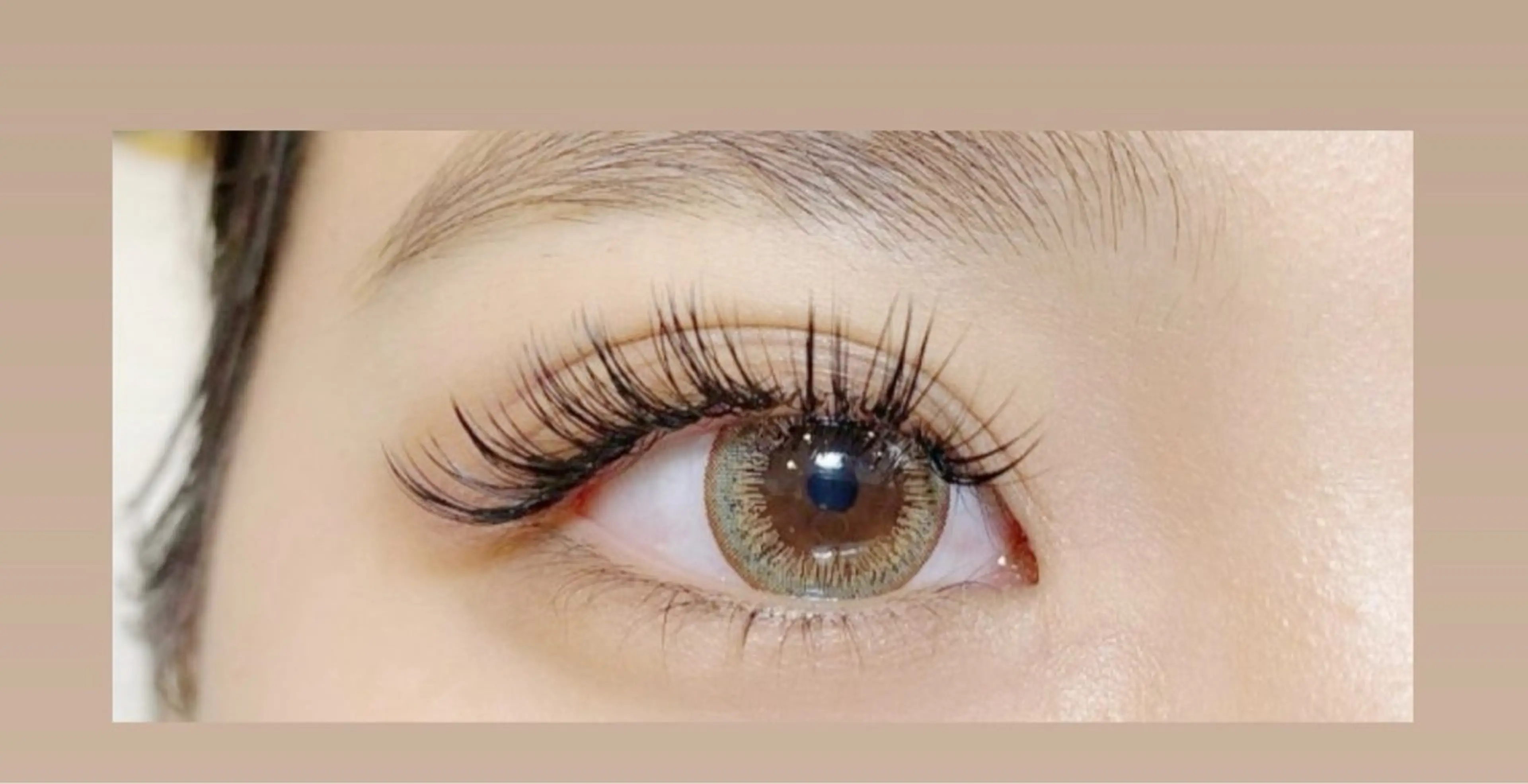 【初回】バインドロック🖤オフ込み🖤160束🖤の写真