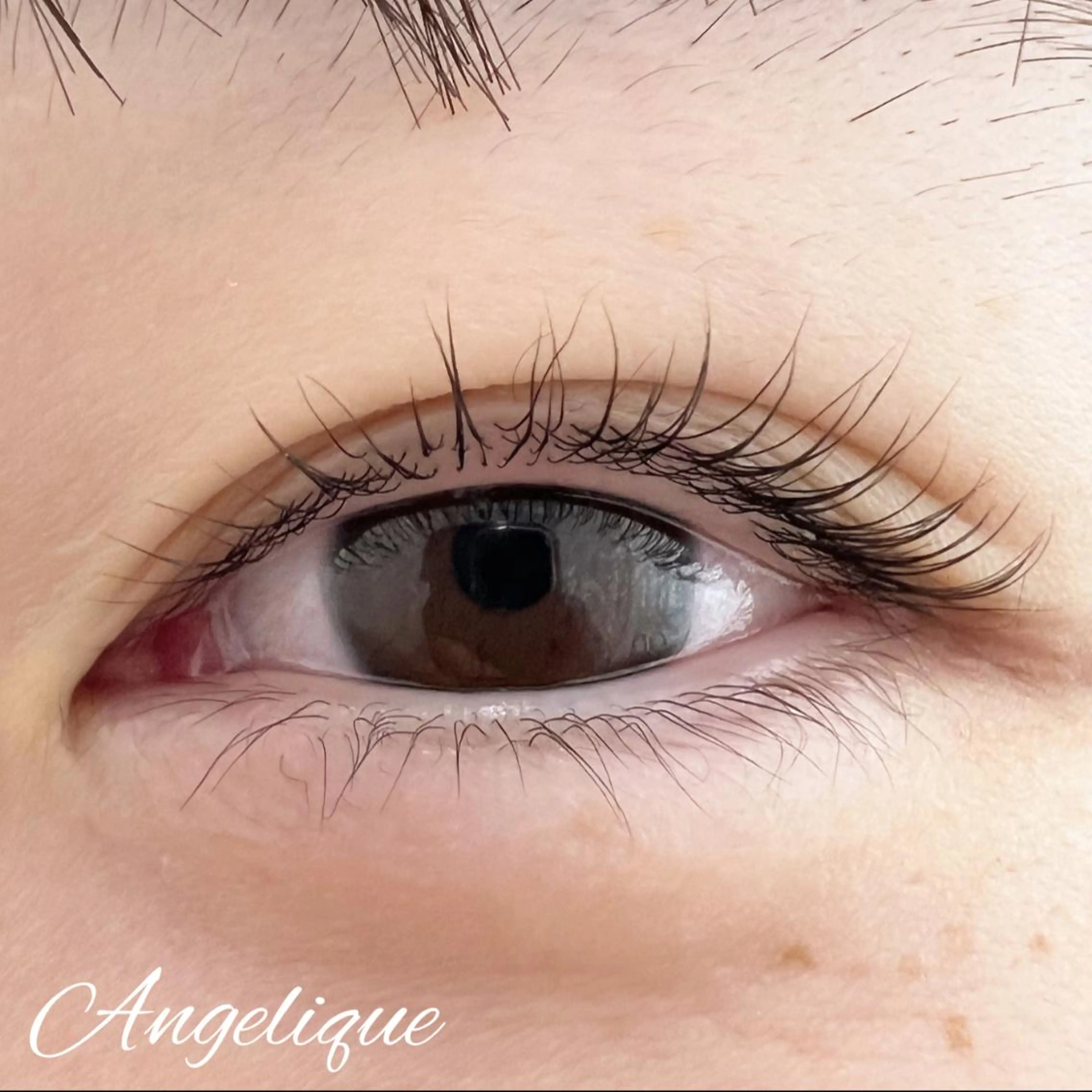 マツエク・マツパ 一重×まつ毛パーマ 田村 莉子のマツエク・マツパデザイン