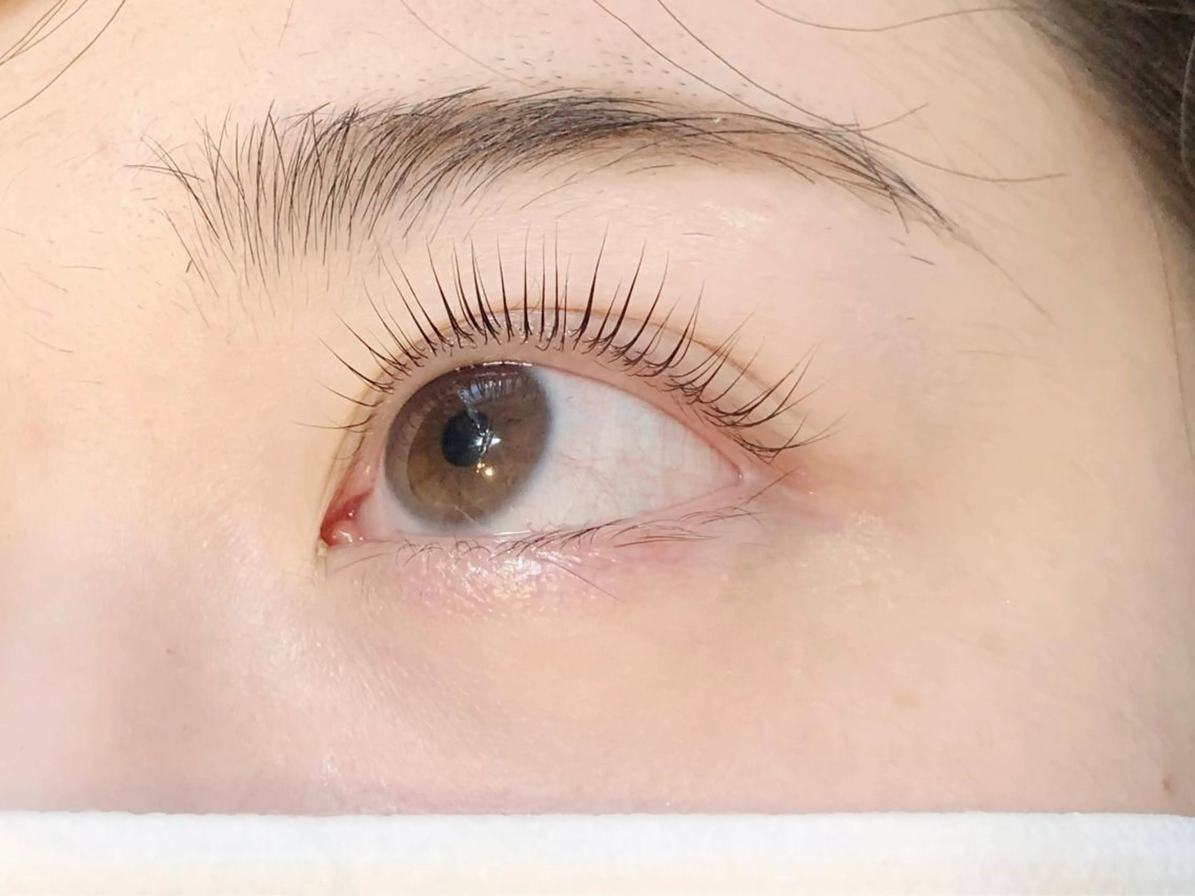 マツエク・マツパ パリジェンヌラッシュリフト デイジーラッシュ 大阪駅前第3ビルのマツエク・マツパデザイン