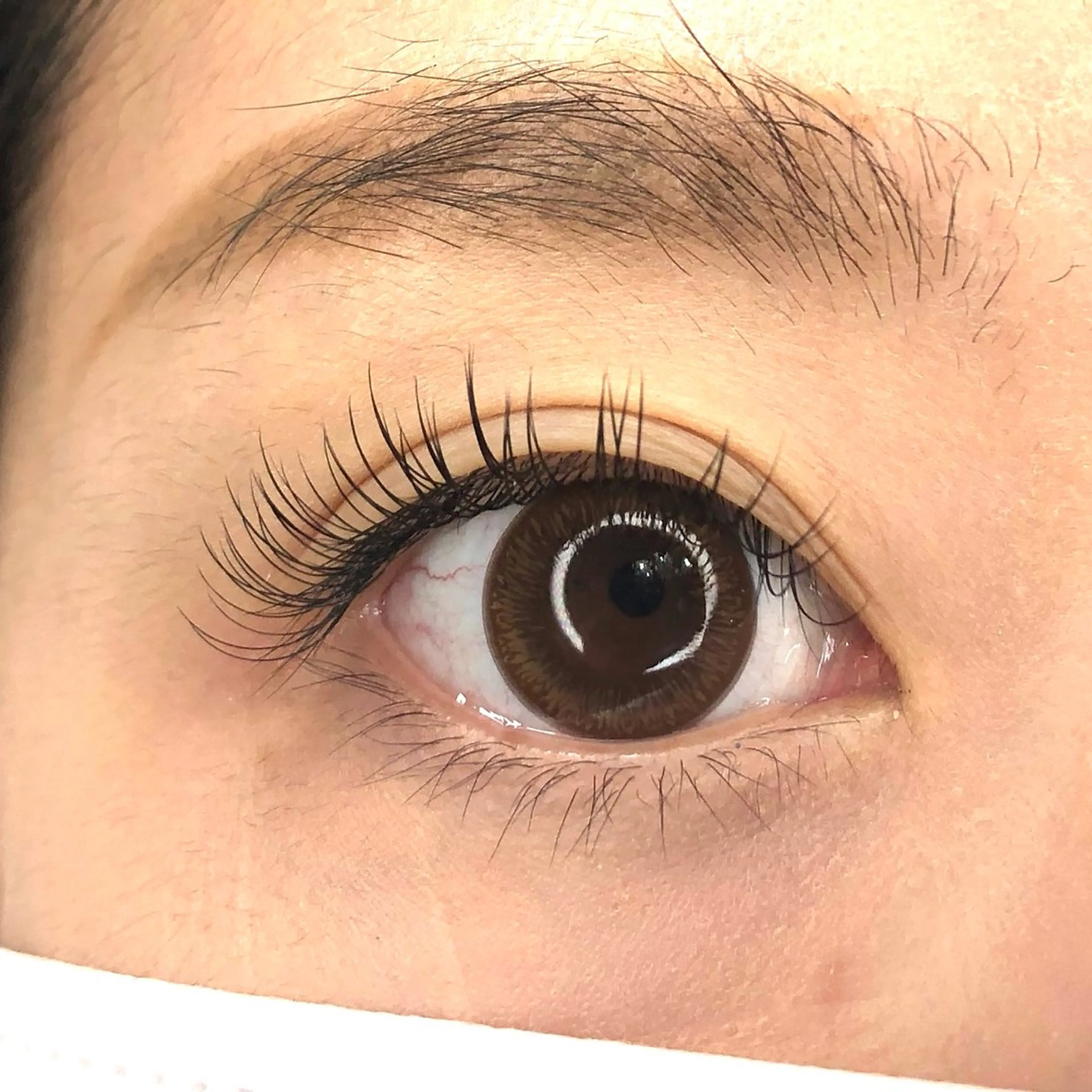 マツエク・マツパ マツエク Miroir EYELASH&BROW所属・Miroir Sunadaのマツエク・マツパデザイン