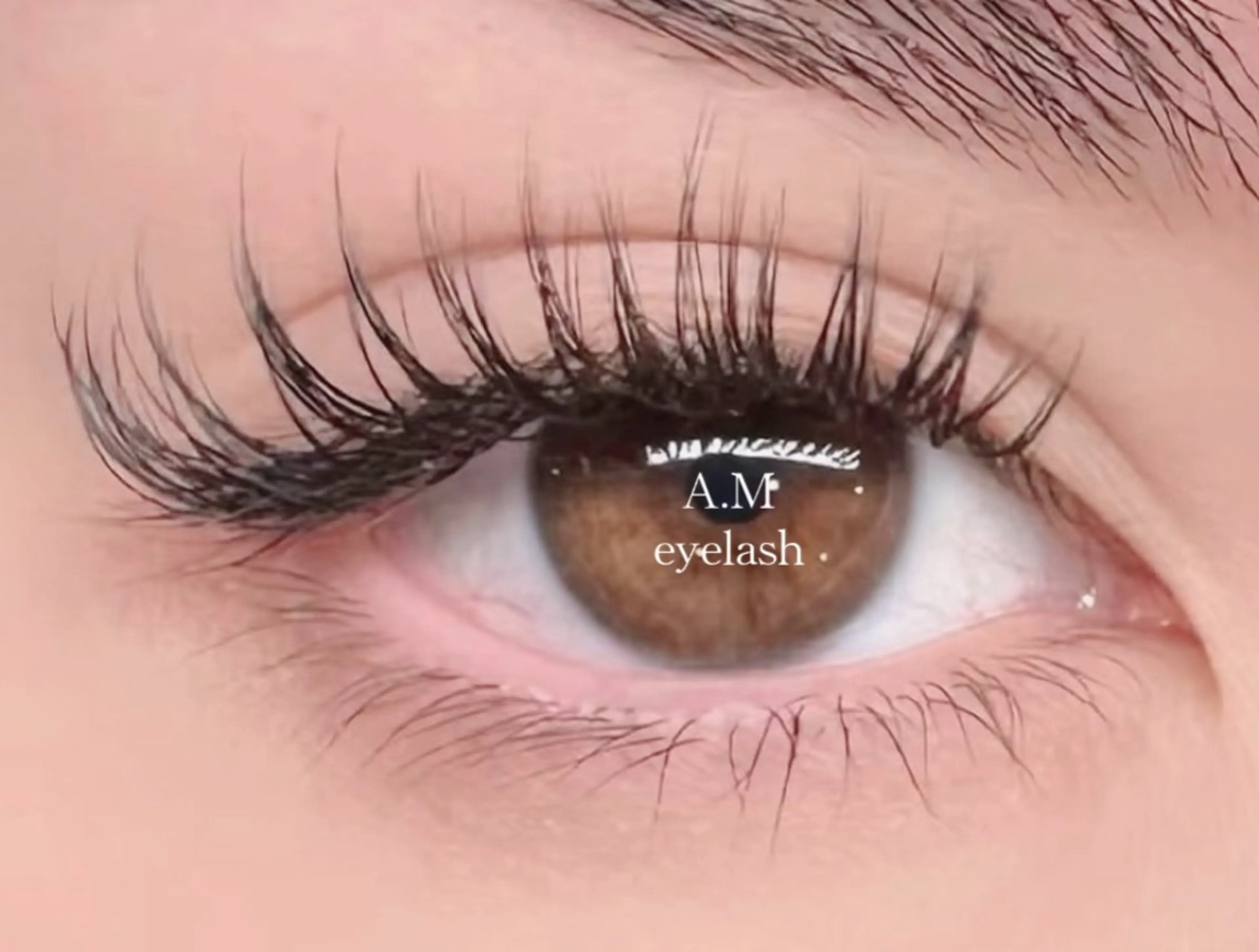 🌟アメリカ風6D 束感ボリュームラッシュ60束【付け出しのみ】の写真