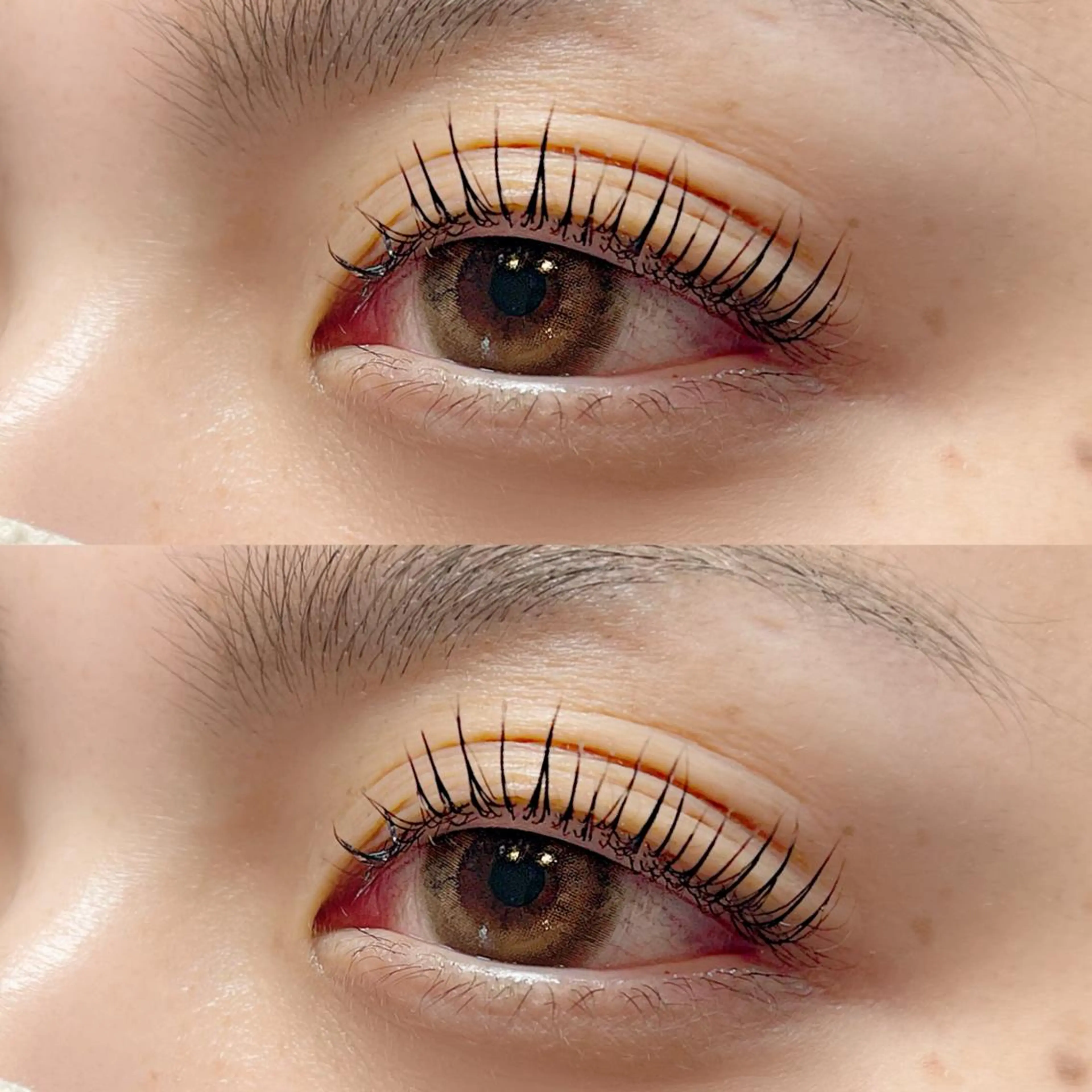 ラッシュリフトプラスケアの写真