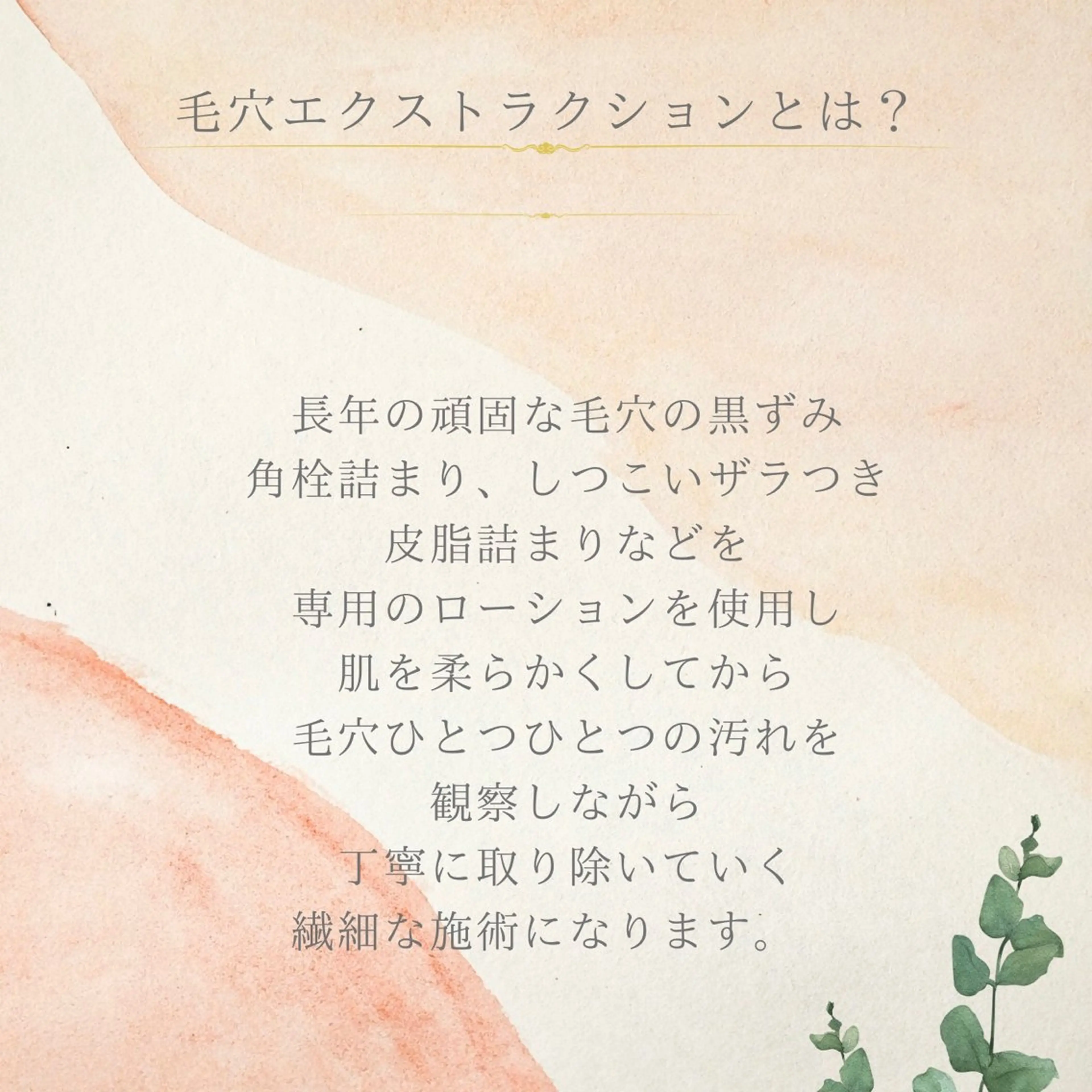 ulu 眉毛ハーブ毛穴肌改善の眉毛・アイブロウイメージ