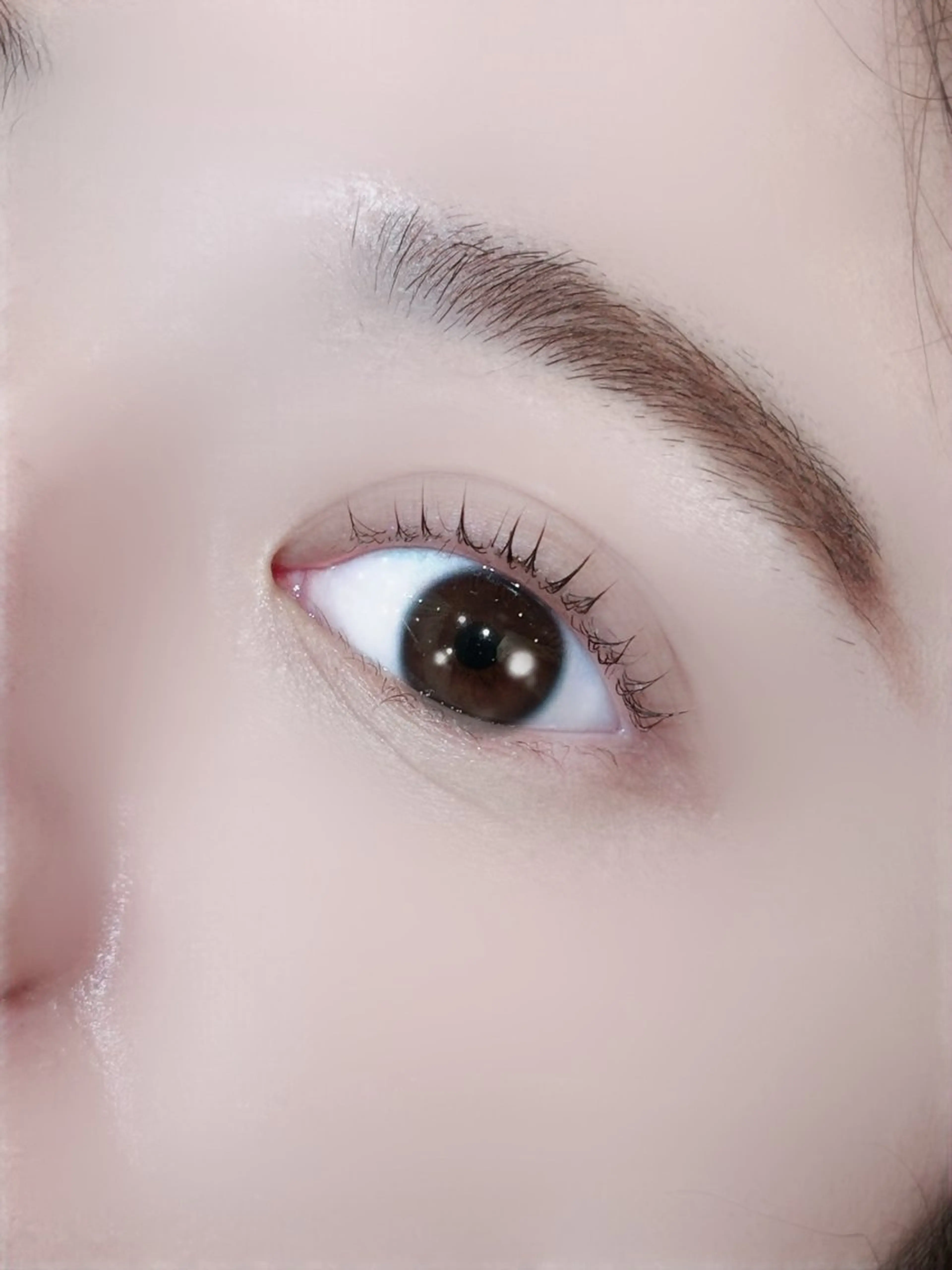 マツエク・マツパ 🐈EYELA Saiki🐱の眉毛・アイブロウイメージ