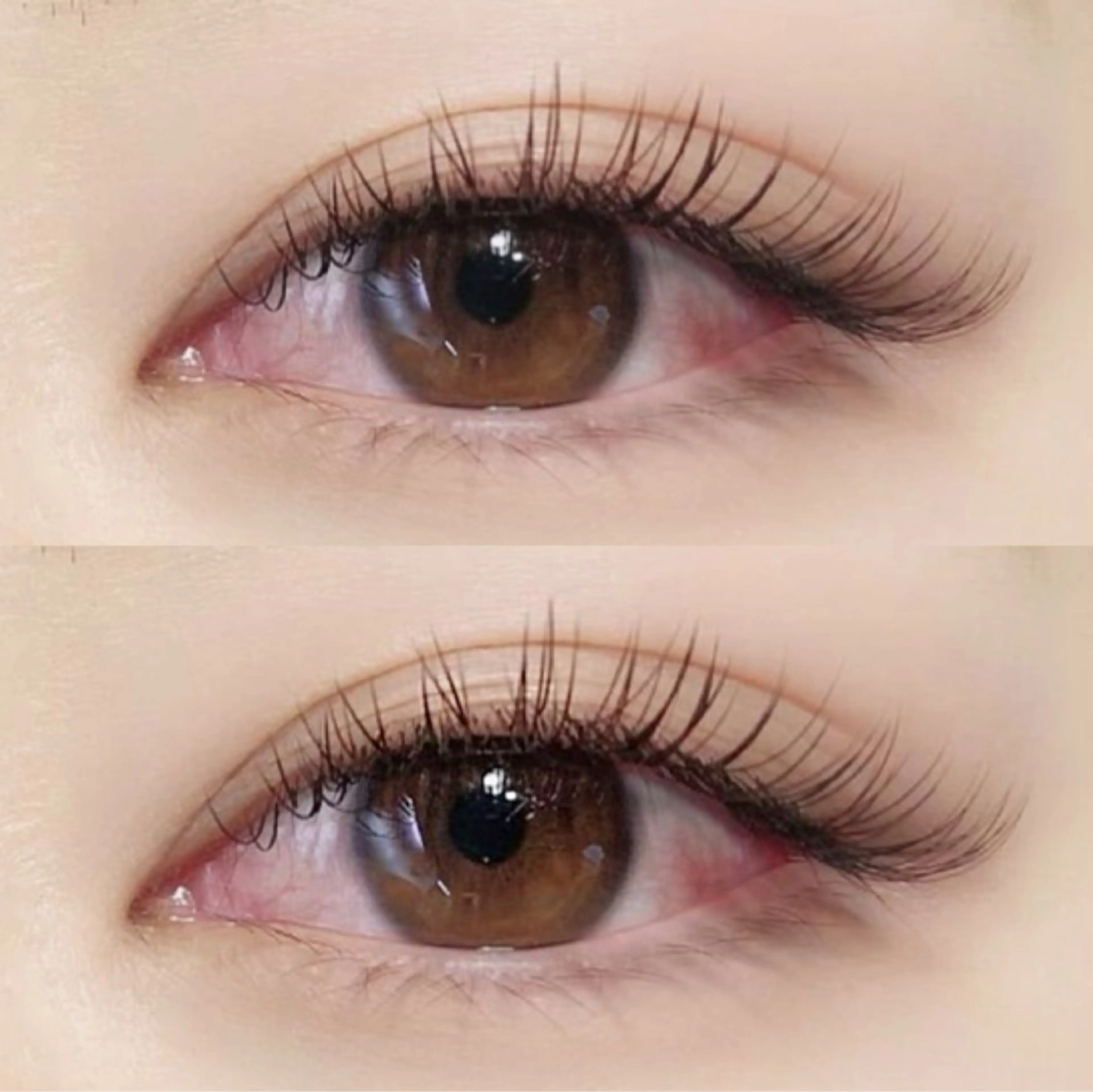 《ボリューム重視》セーブル180本/オフ込/コーティングTR付(LEDエクステ+¥1100)の写真