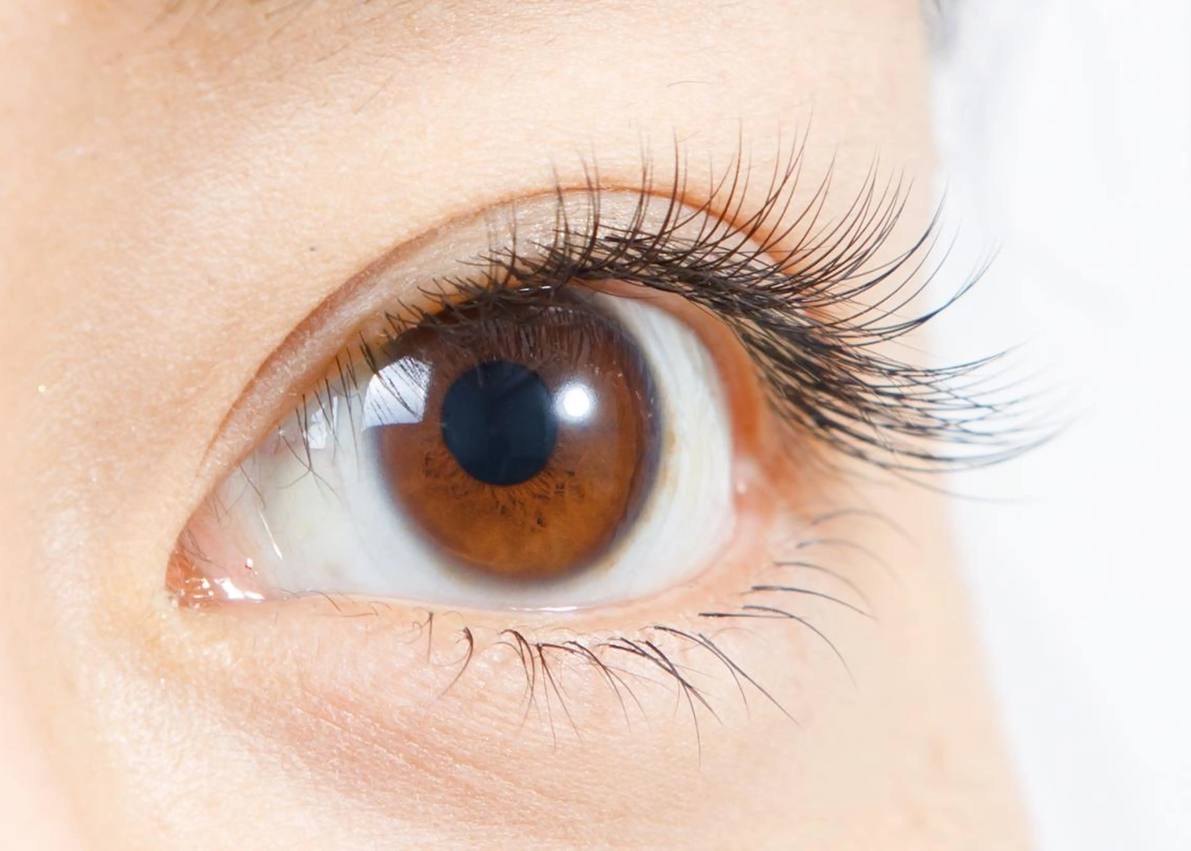 ◆新規限定◆つけ放題　(施術時間120分)　￥6820→￥5000の写真