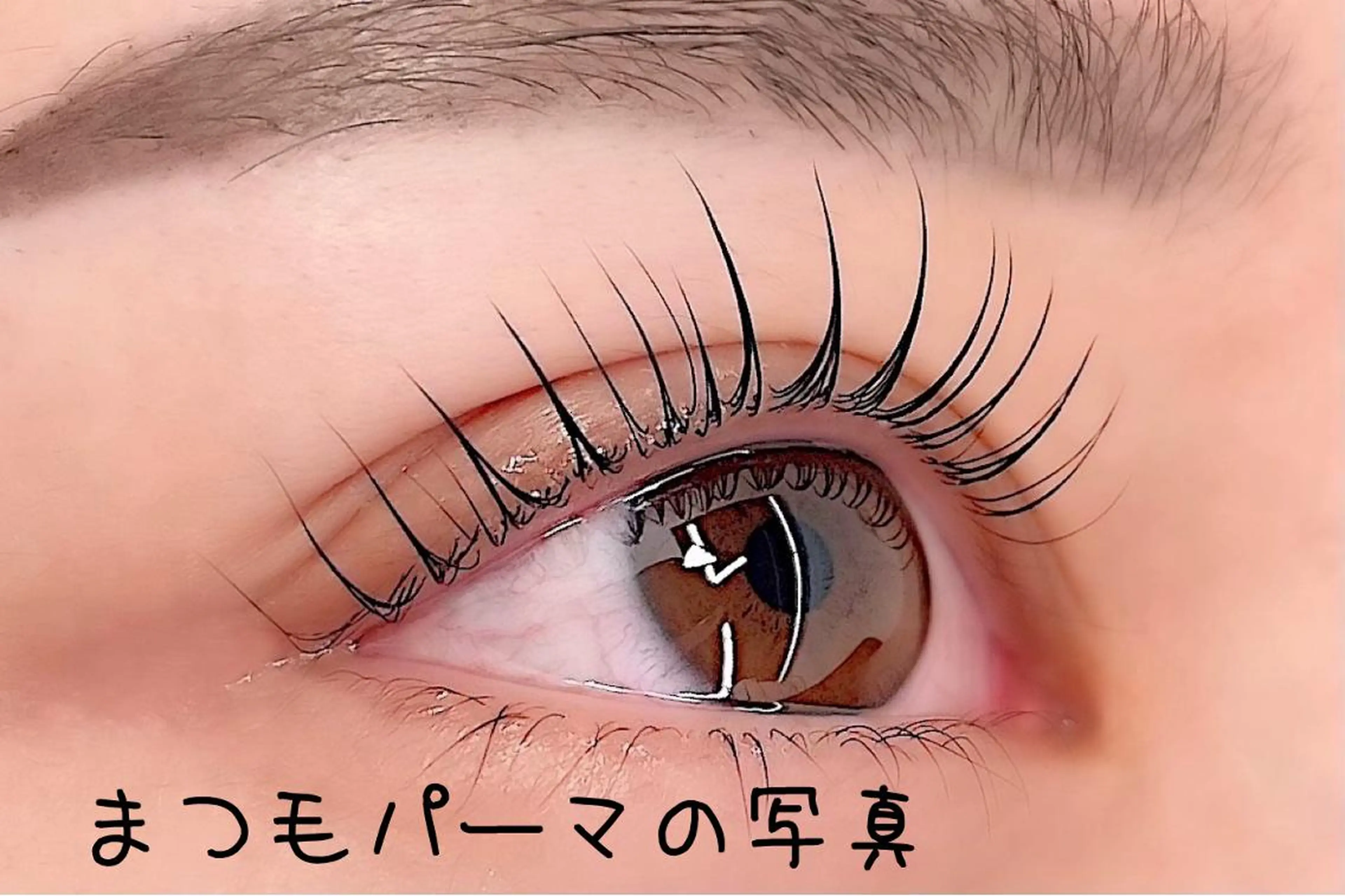 マツエク・マツパ フラットラッシュ 韓国風マツエク パリジェンヌラッシュリフト まつげパーマ ボリュームラッシュ マツパ ディーツ セタレのマツエク・マツパデザイン