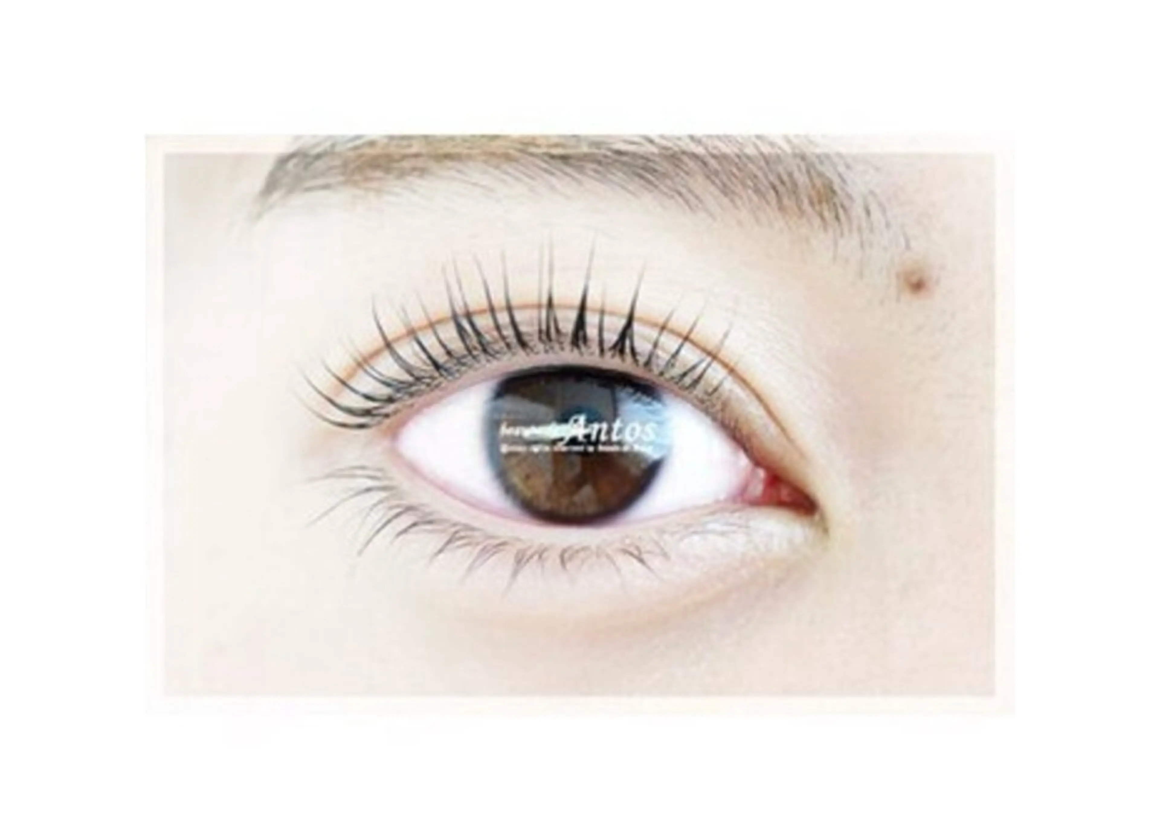 マツエク・マツパ まつげパーマ 下まつげエクステ マツパ まつげ&眉毛専門店 アントスstaffのマツエク・マツパデザイン