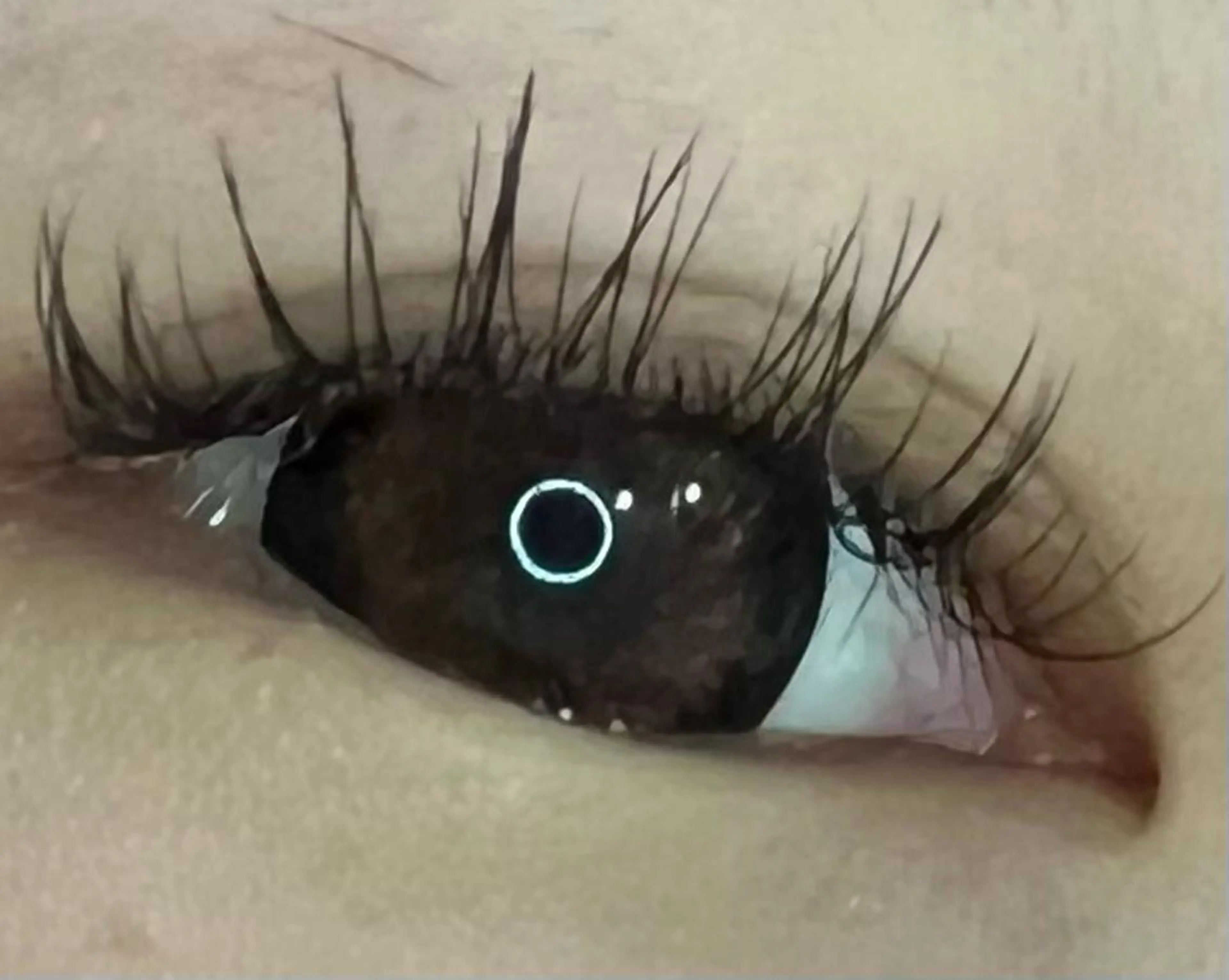 マツエク・マツパ Mier所属・太田 莉菜のマツエク・マツパデザイン