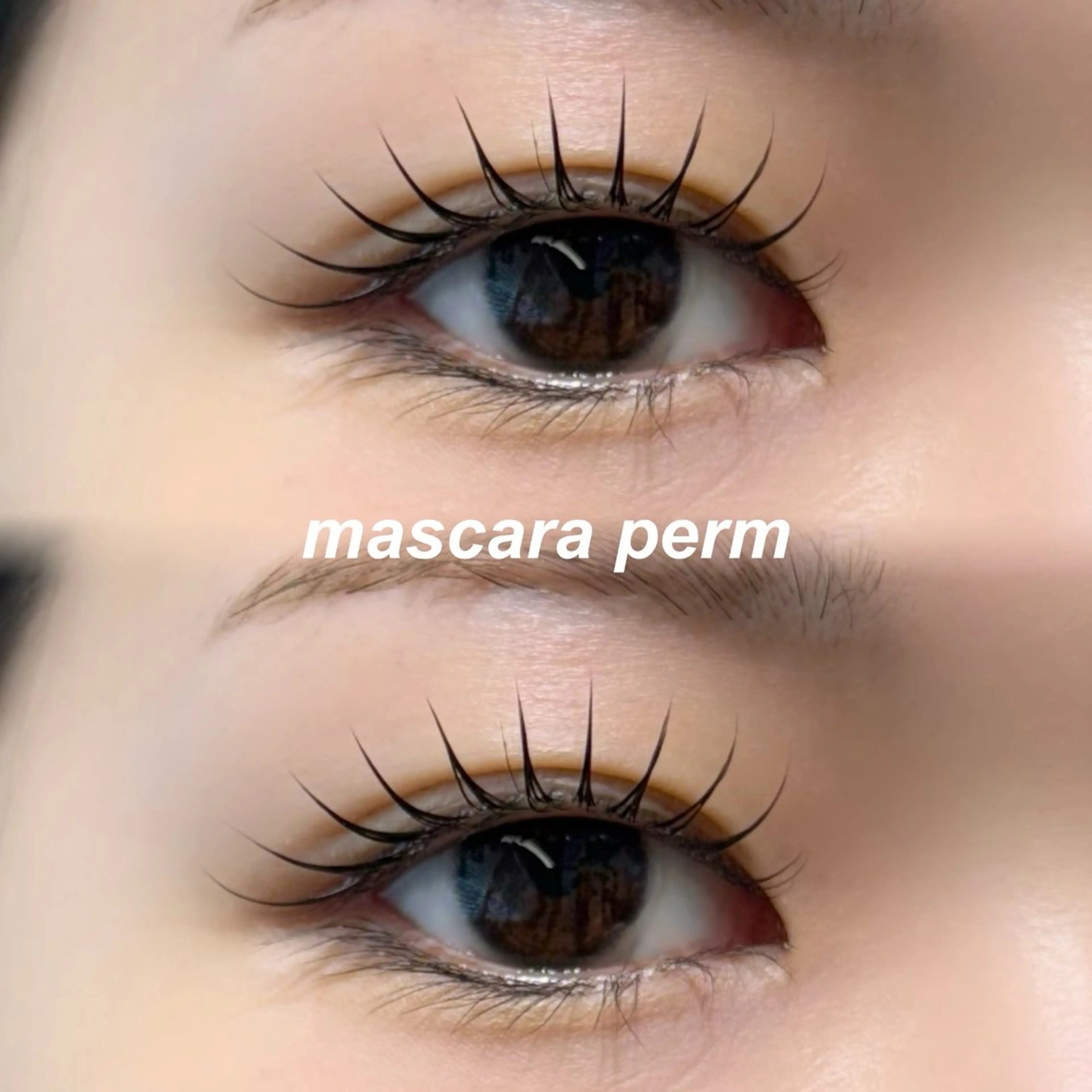 🎀大人気🎀韓国マスカラパーマ＋コーティング仕上げ付　　¥6,500の写真