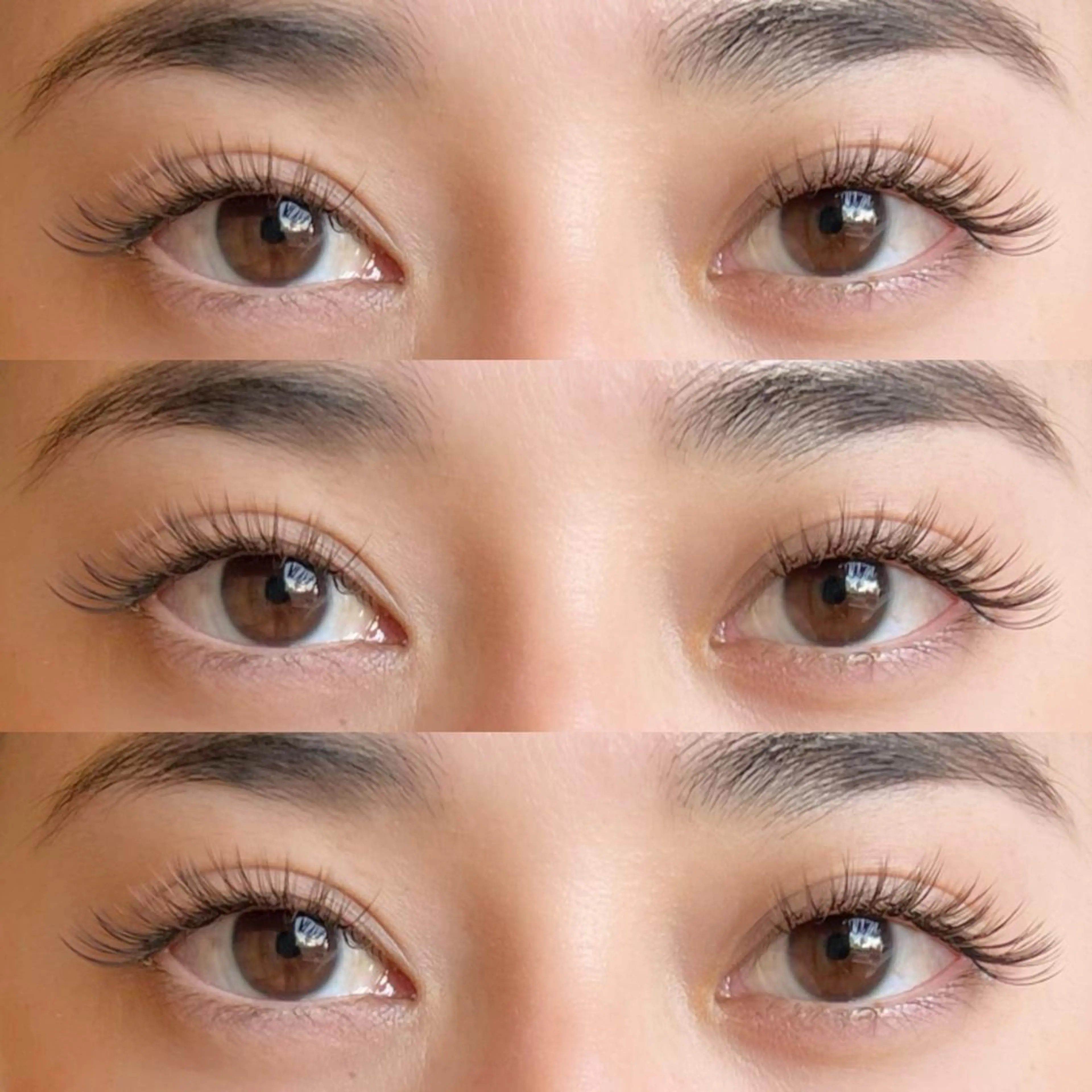 バインドロックorダブルフラット100本（50束）オフ込み🦋の写真