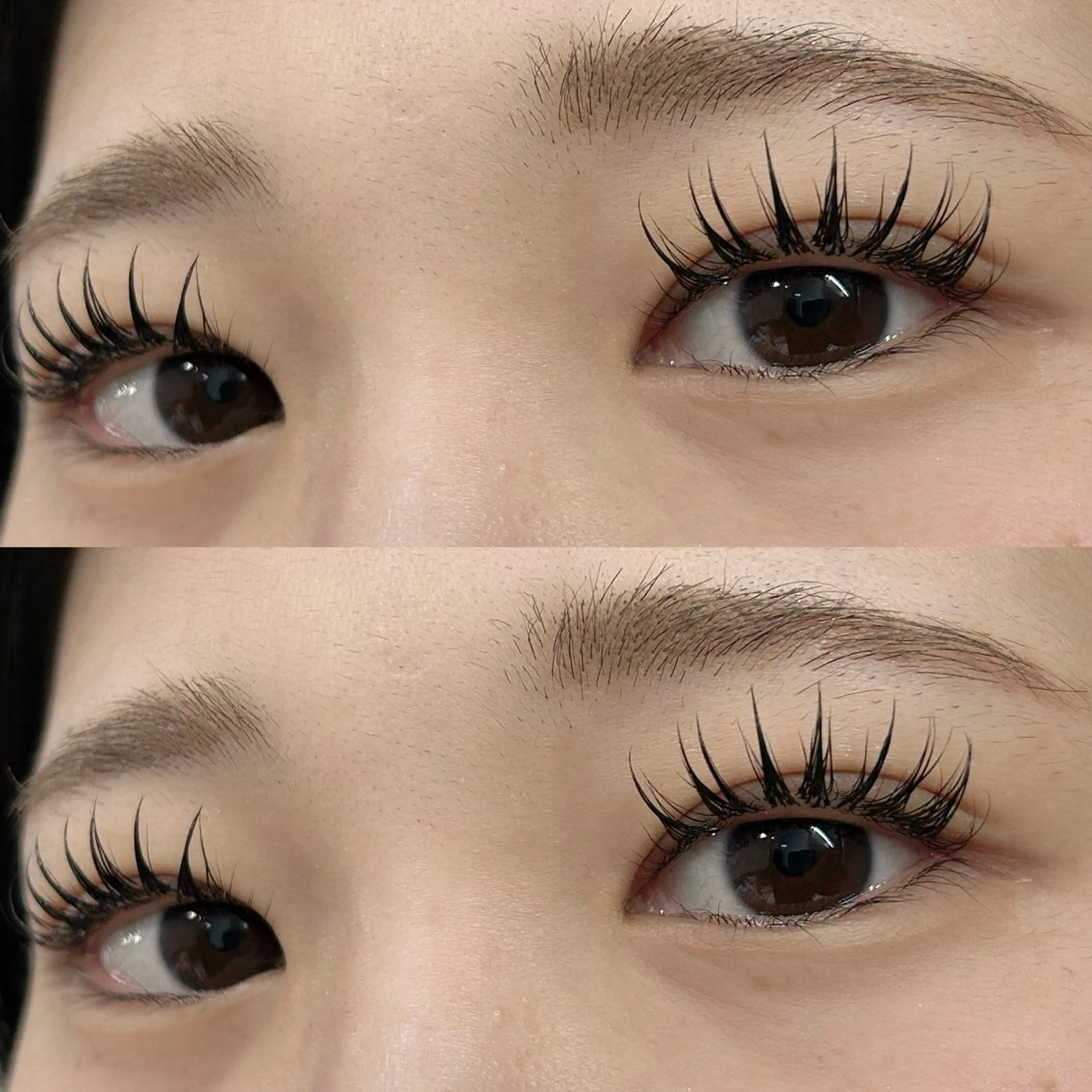 マツエク・マツパ マツエク arbis 遠山のマツエク・マツパデザイン