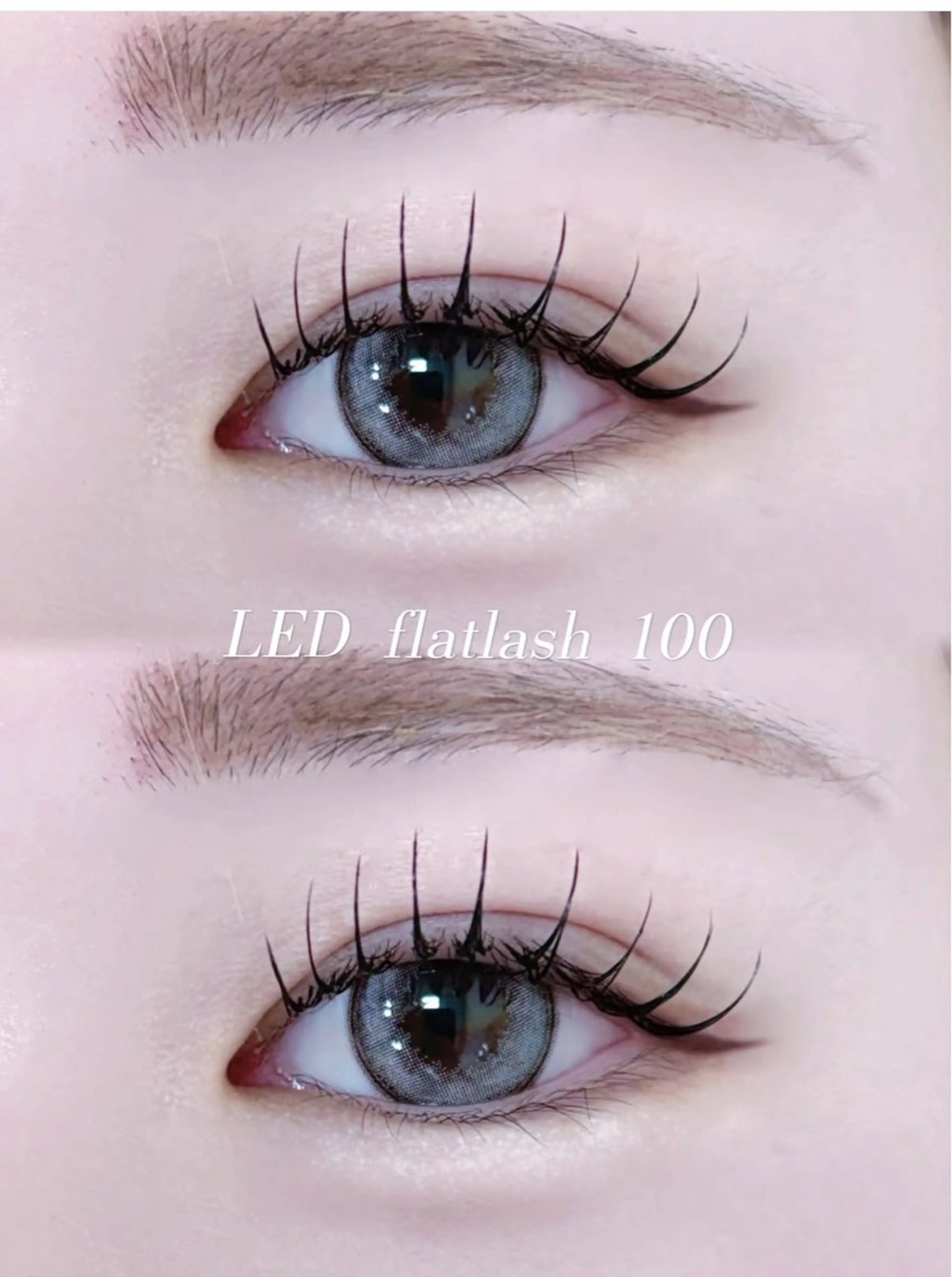 🩵流行LEDフラットラッシュ100本🩵（束感コーティング付き）の写真