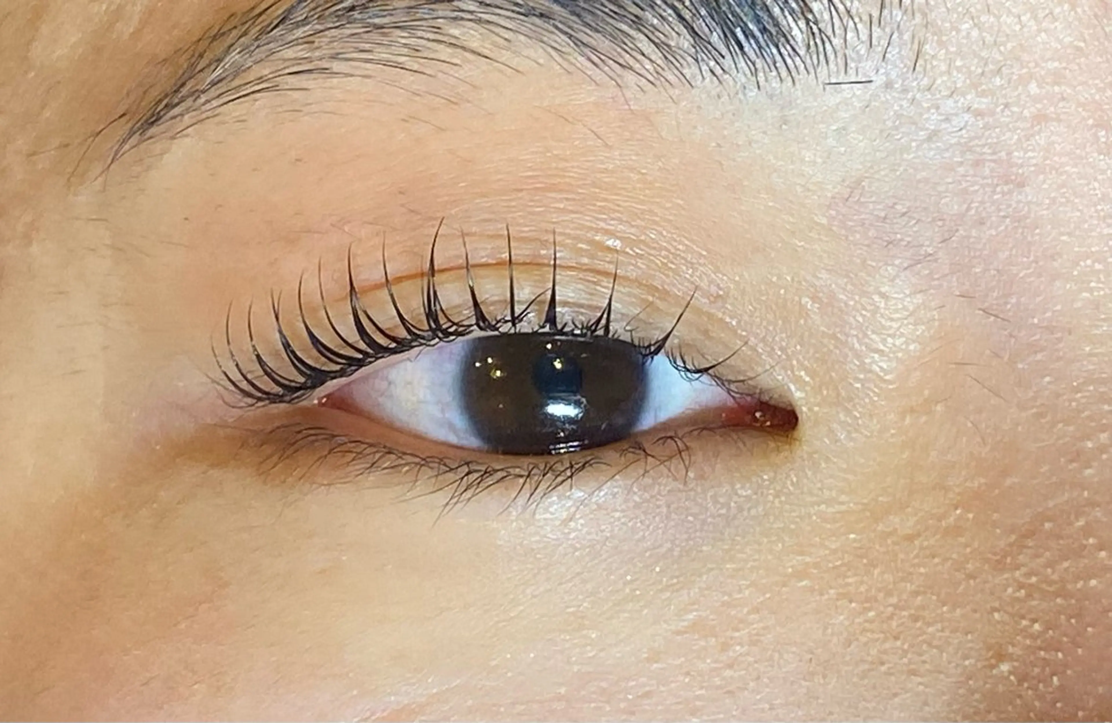 マツエク・マツパ Daisy lash 京橋店堀井のマツエク・マツパデザイン