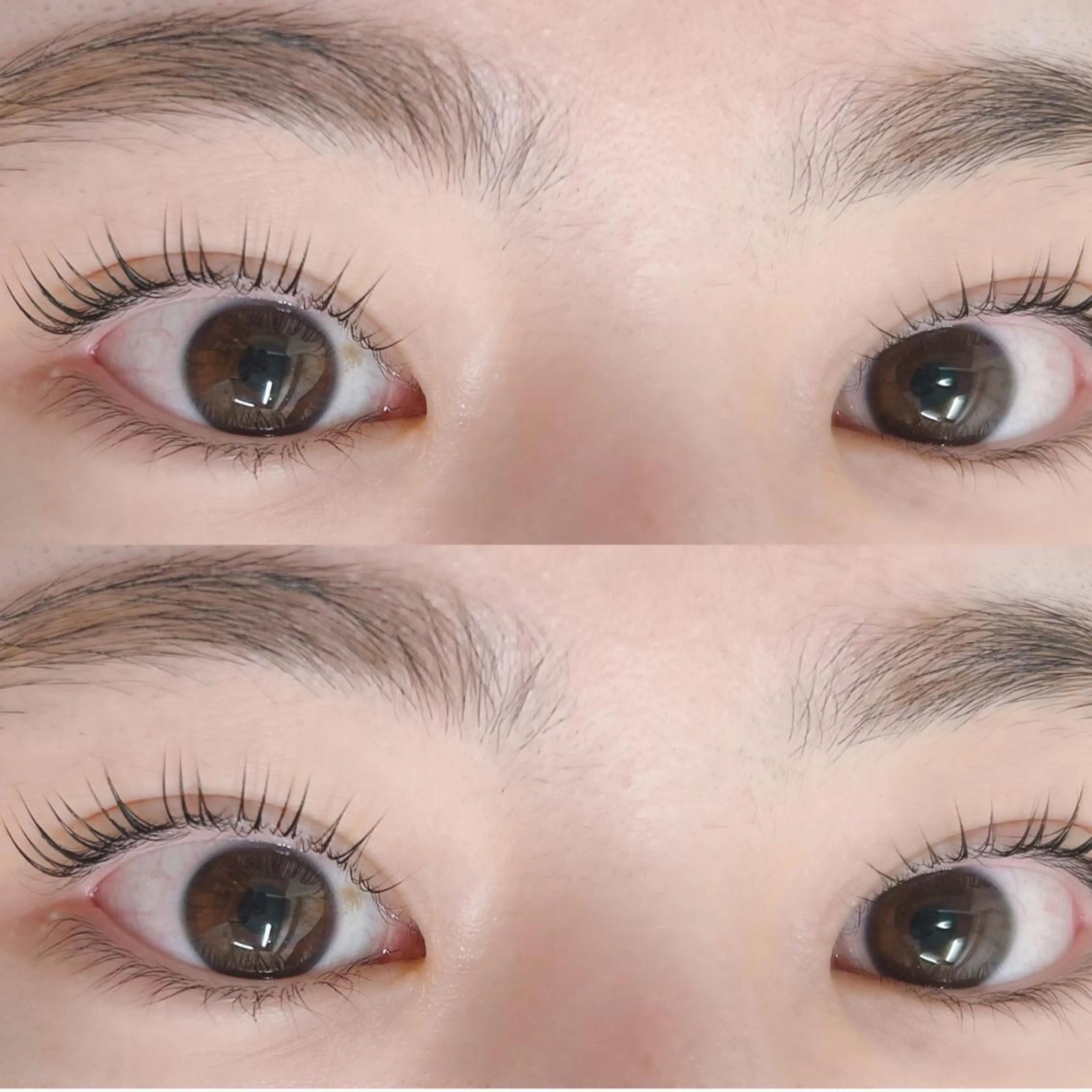 マツエク・マツパ マツパ GALN 🎀 yumi パリエクのマツエク・マツパデザイン