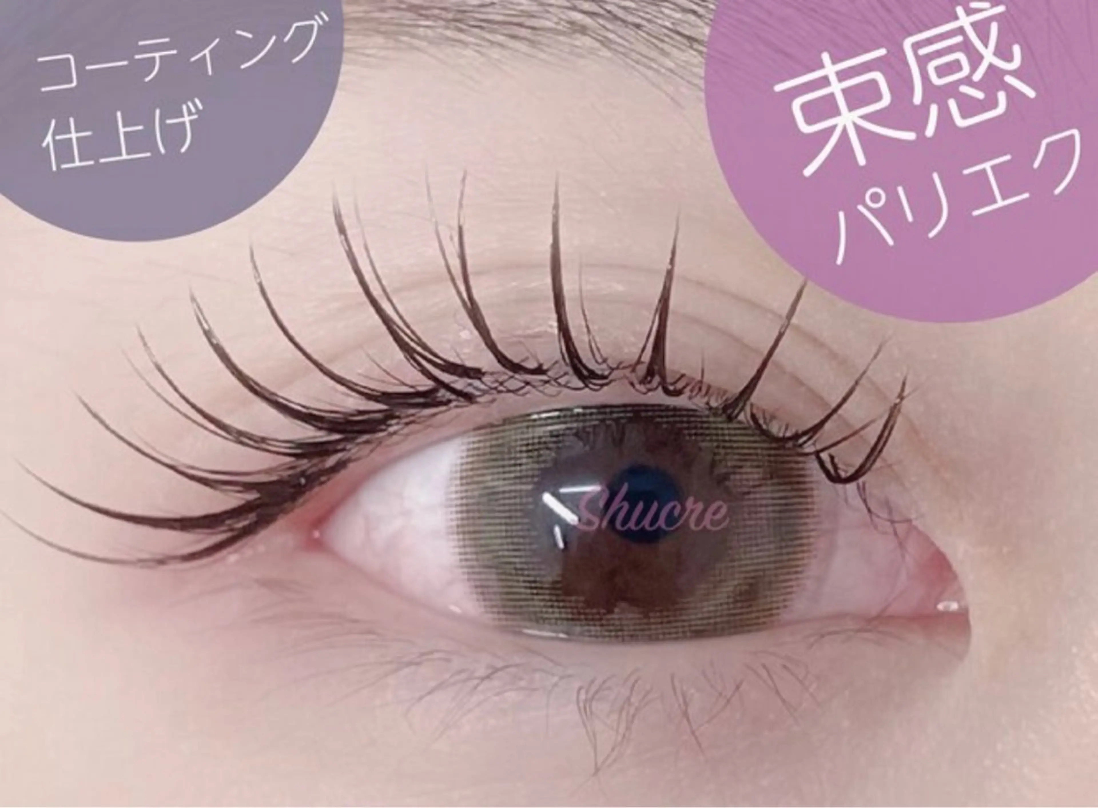 【期間限定】パリエク🎀120本　オフ無料の写真