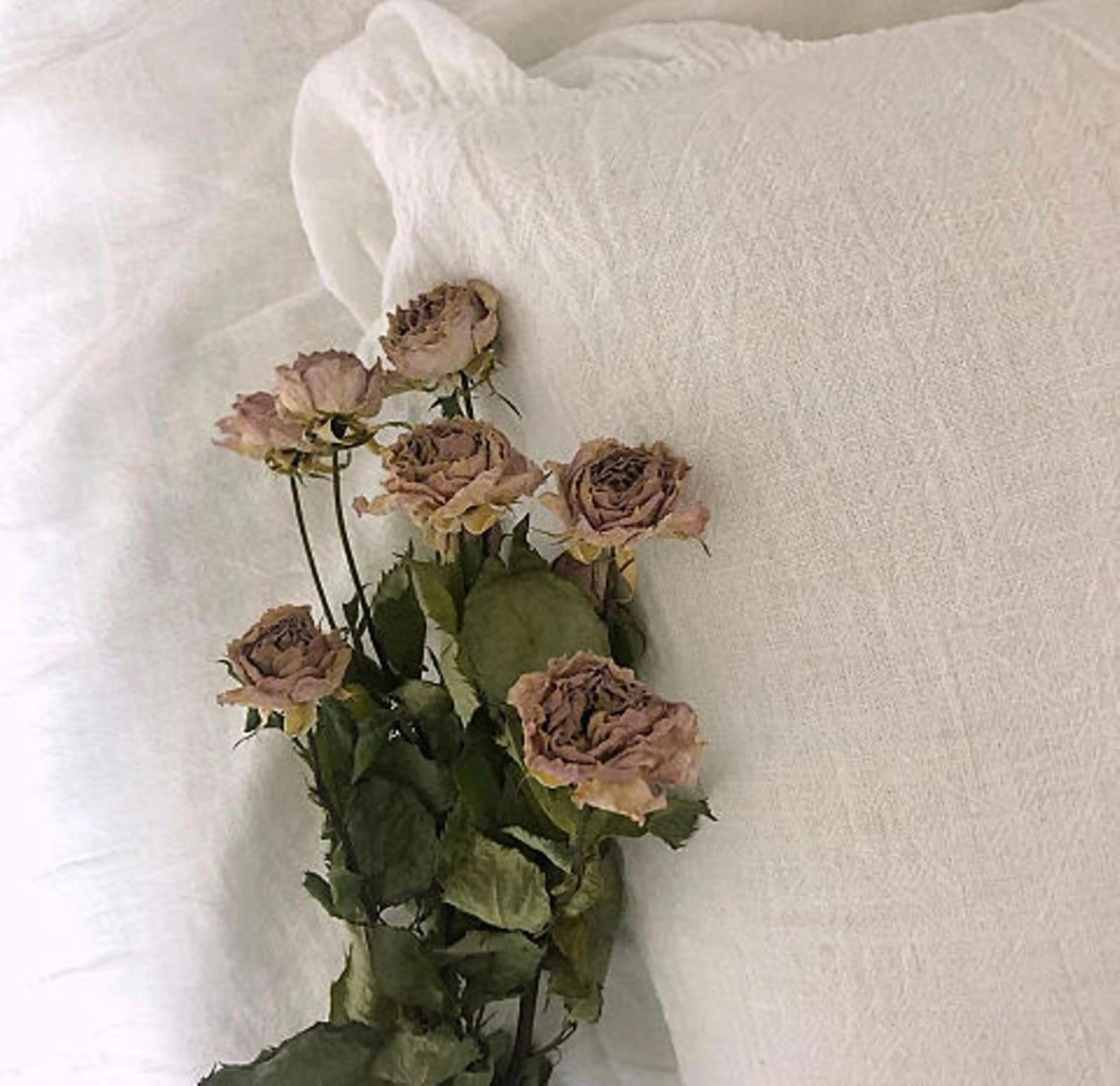 マツエク・マツパ Kurumi.所属・eri .のマツエク・マツパデザイン