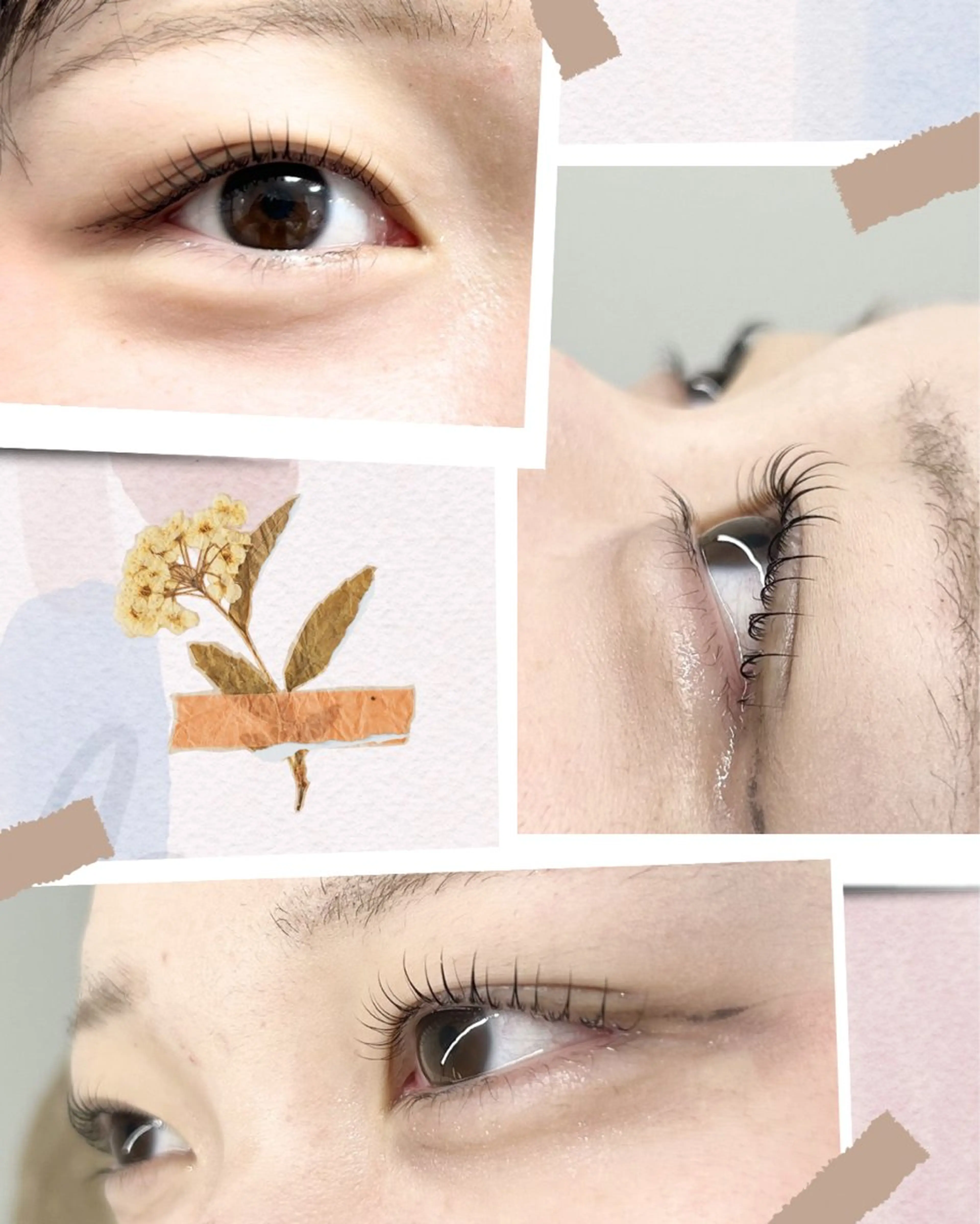 マツエク・マツパ エクラドゥボヌール所属・エクラドゥボヌール sakuraiのマツエク・マツパデザイン