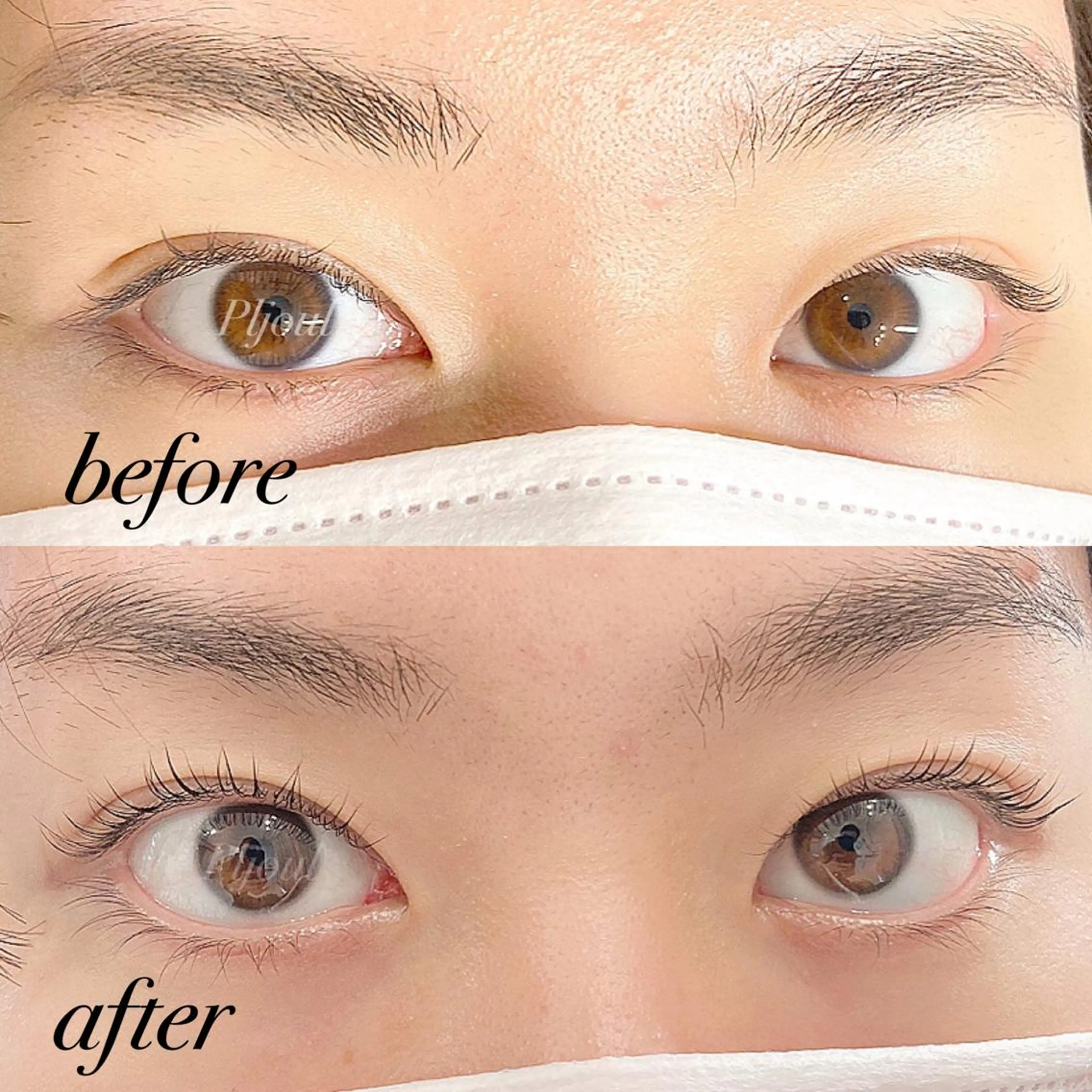 マツエク・マツパ マツパ Pljoul《プリジュール》所属・Pljoul🤍 天満橋のマツエク・マツパデザイン