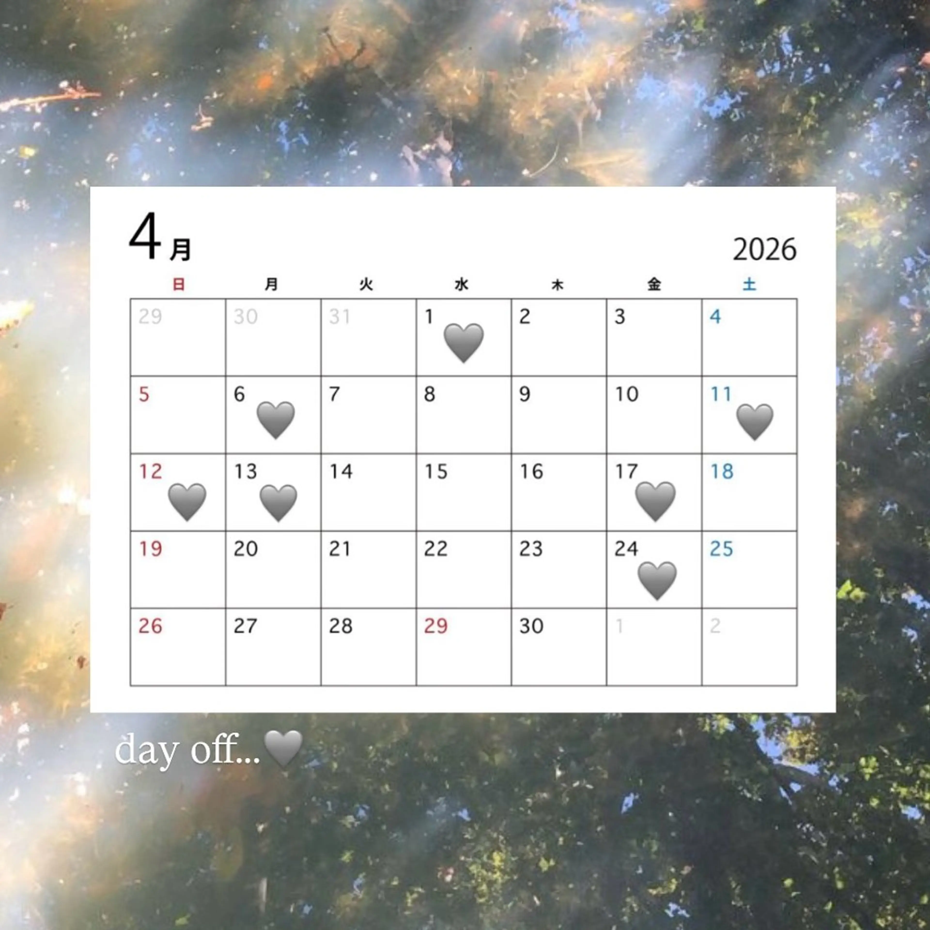 sora/ 暖色カラー🌷のヘアスタイル