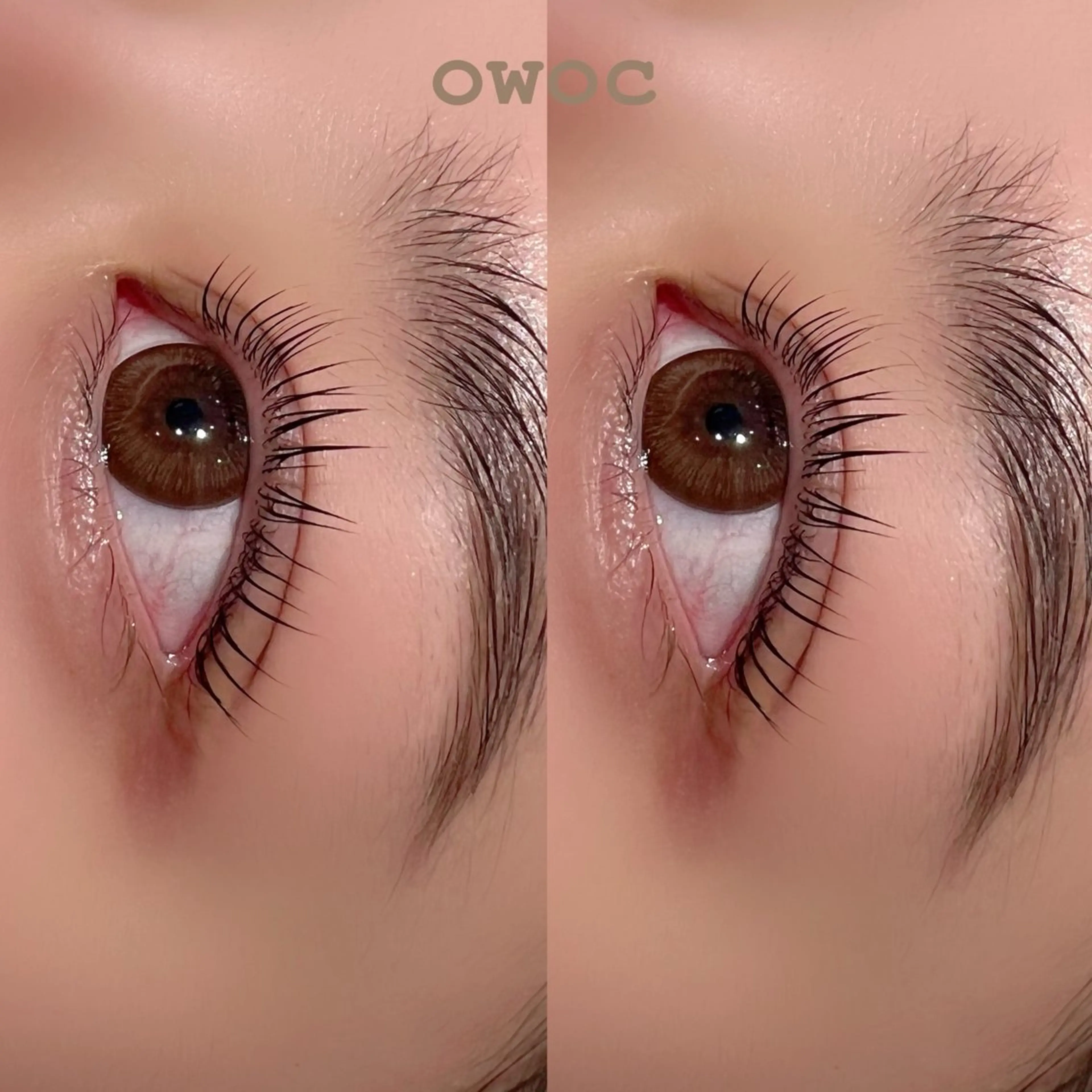 マツエク・マツパ マツパ OWOC所属・OWOC 西院のマツエク・マツパデザイン