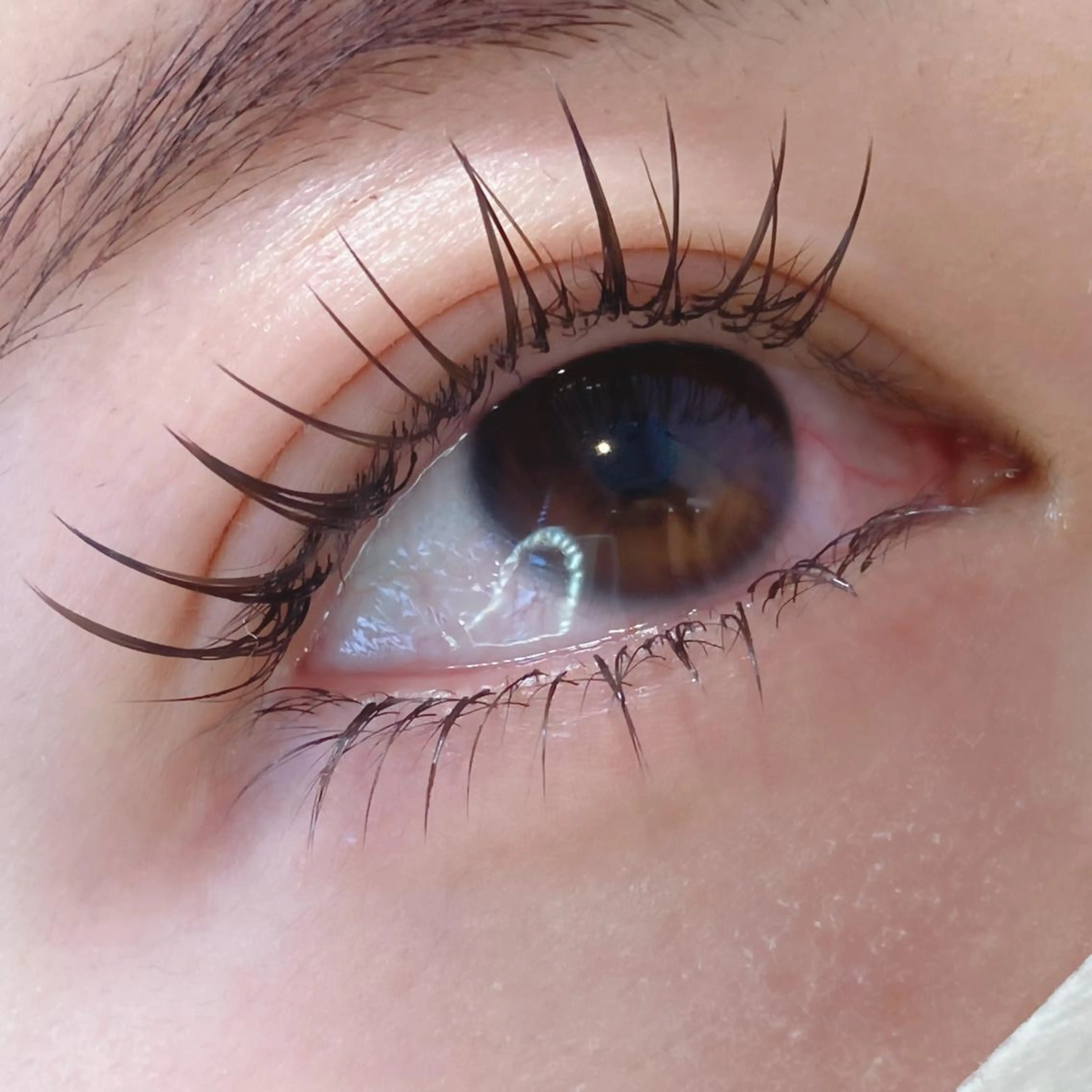 マツエク・マツパ 束感まつ毛 下まつげエクステ マツエク TOPアイリスト ふたつぎちさとのマツエク・マツパデザイン