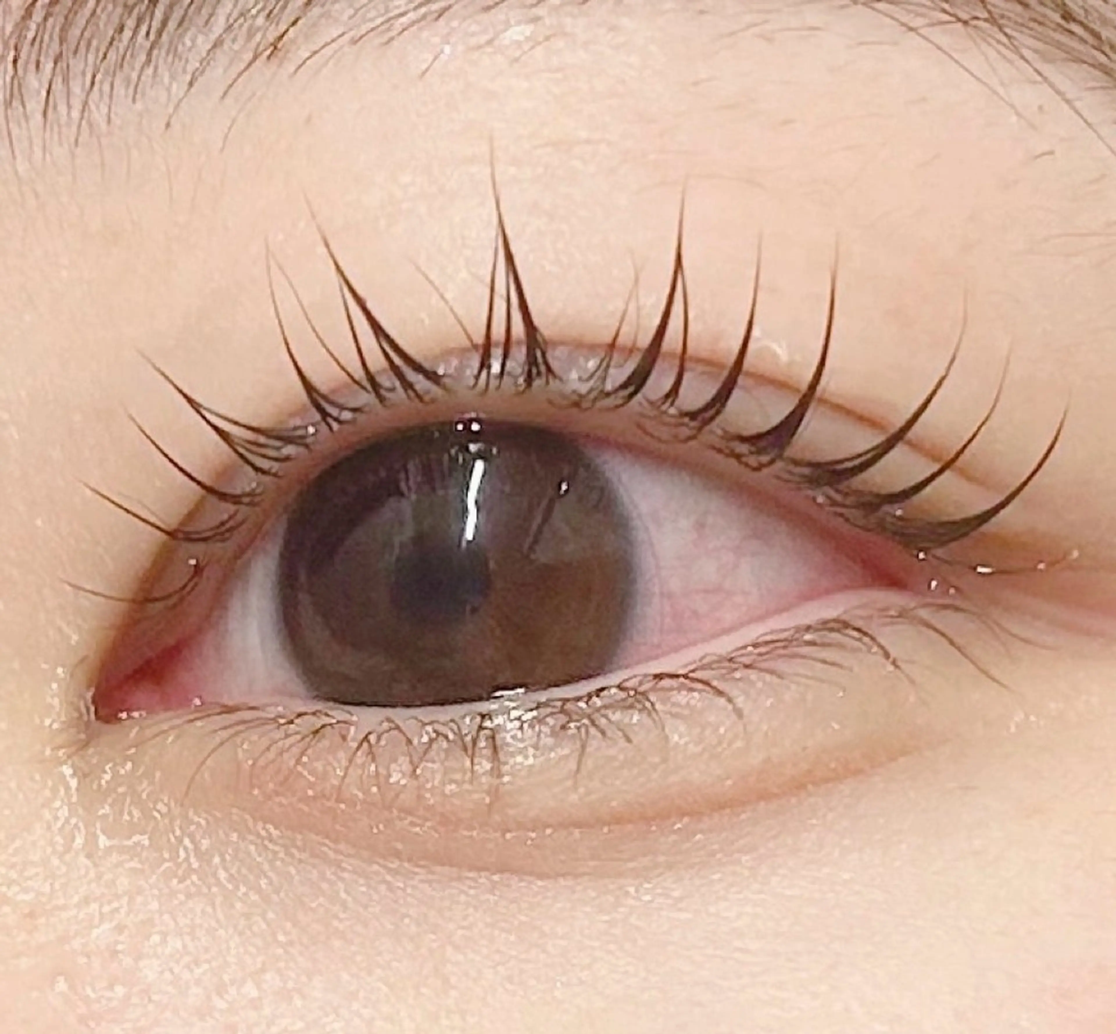 マツエク・マツパ マツパ meRK 🦋Anjuのマツエク・マツパデザイン