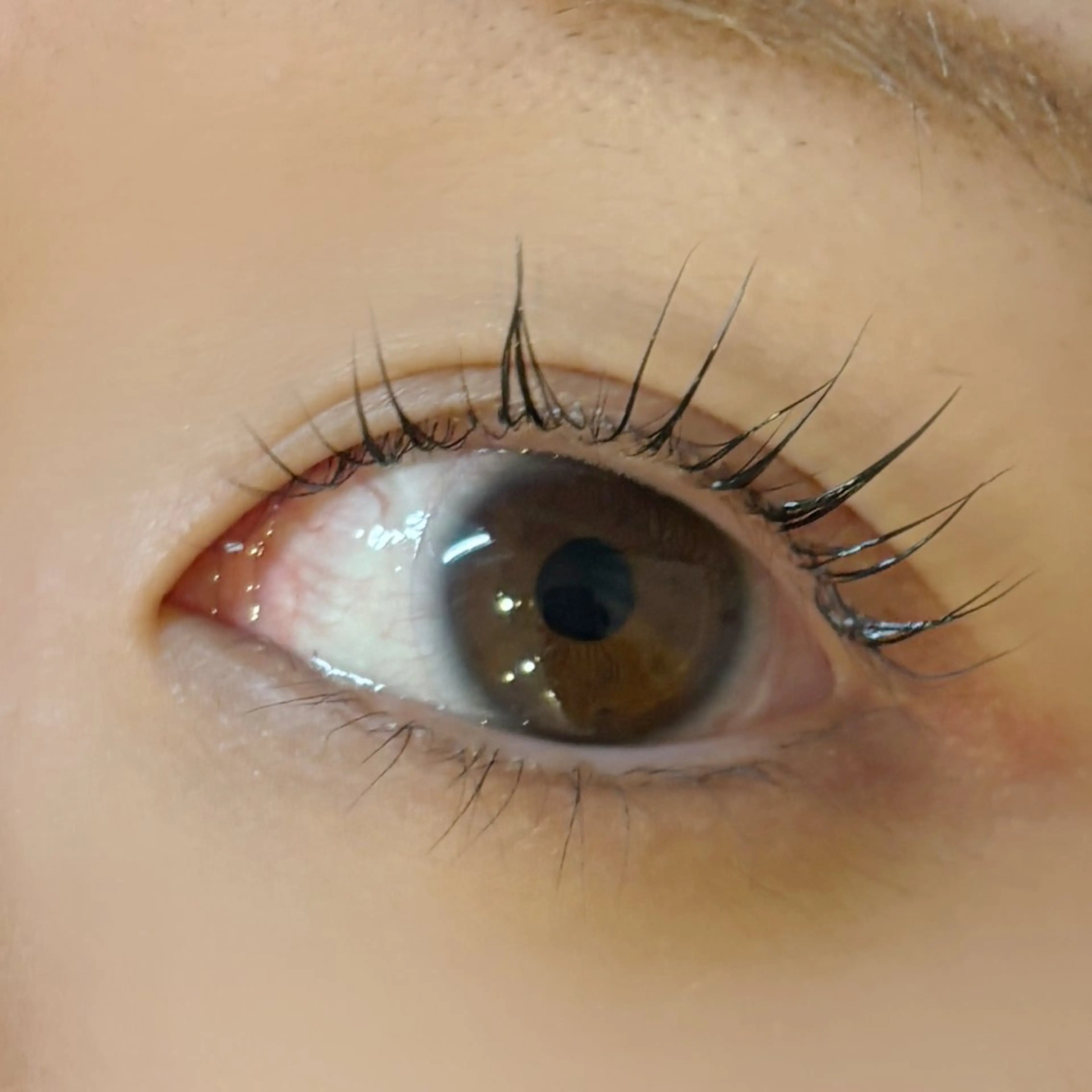 マツエク・マツパ jessica🪽 yoshida🩰のマツエク・マツパデザイン