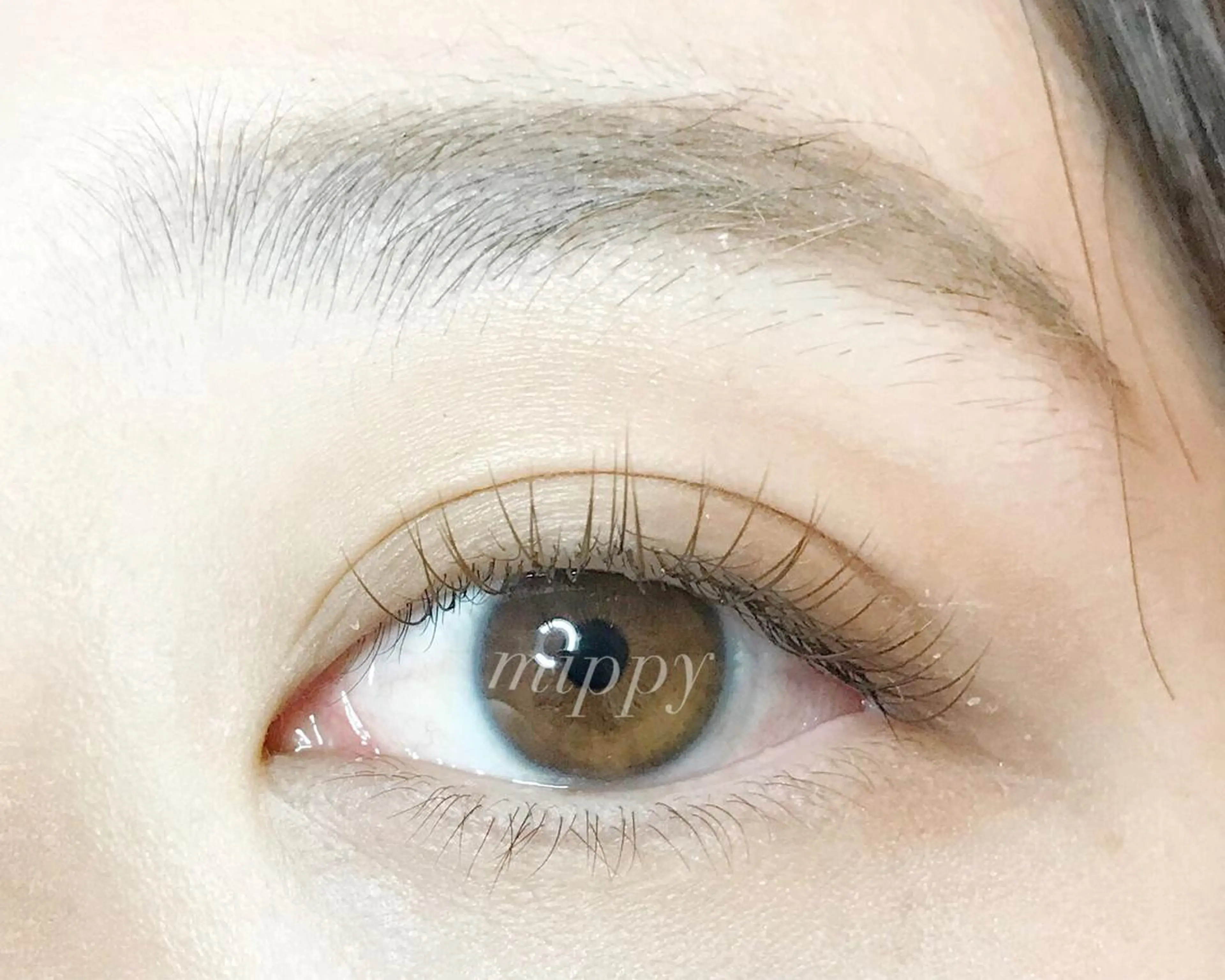 マツエク・マツパ ｍｉｐｐｙ 🪽のマツエク・マツパデザイン