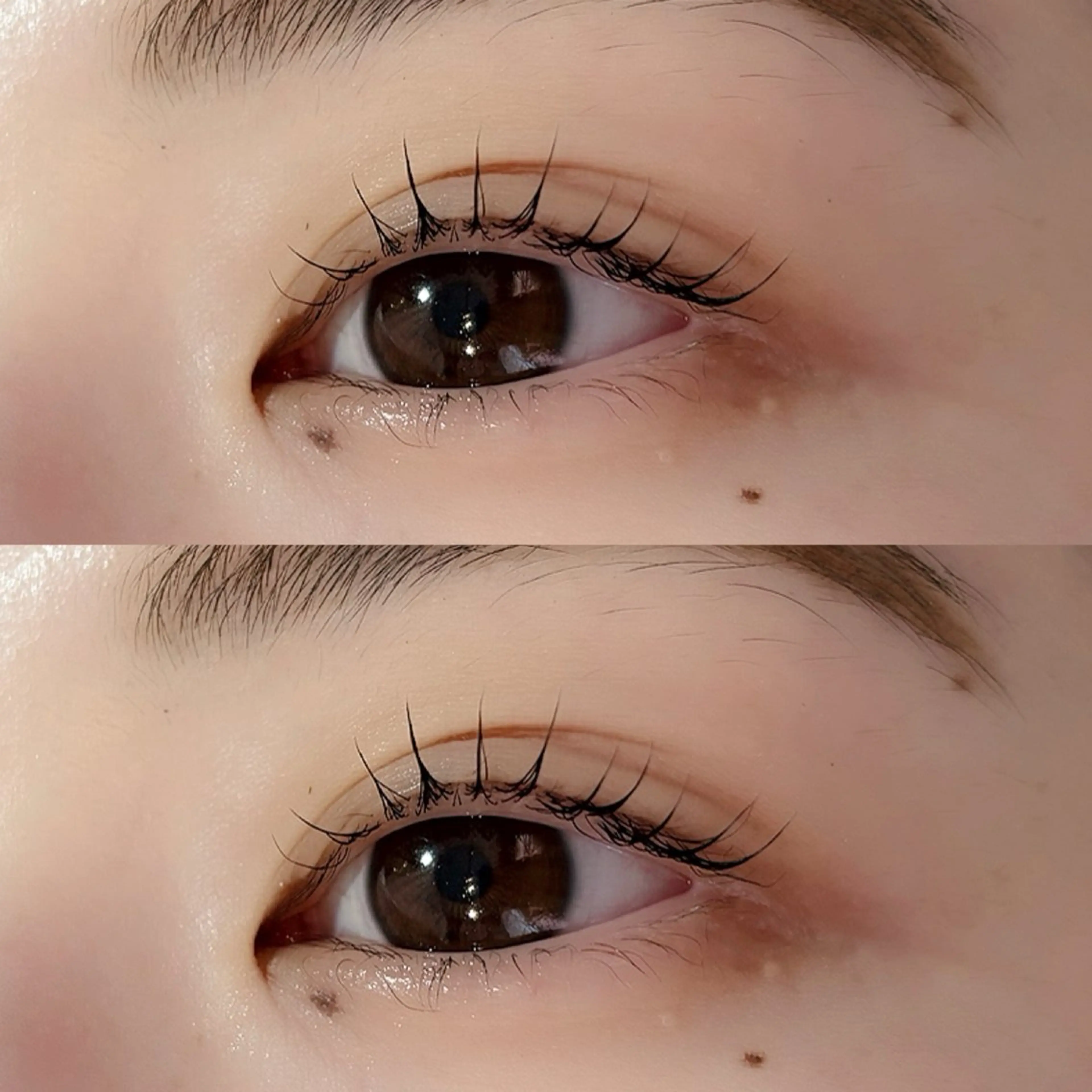 マツエク・マツパ 🪞🩰くるり上野店 對馬🩰🪞のマツエク・マツパデザイン