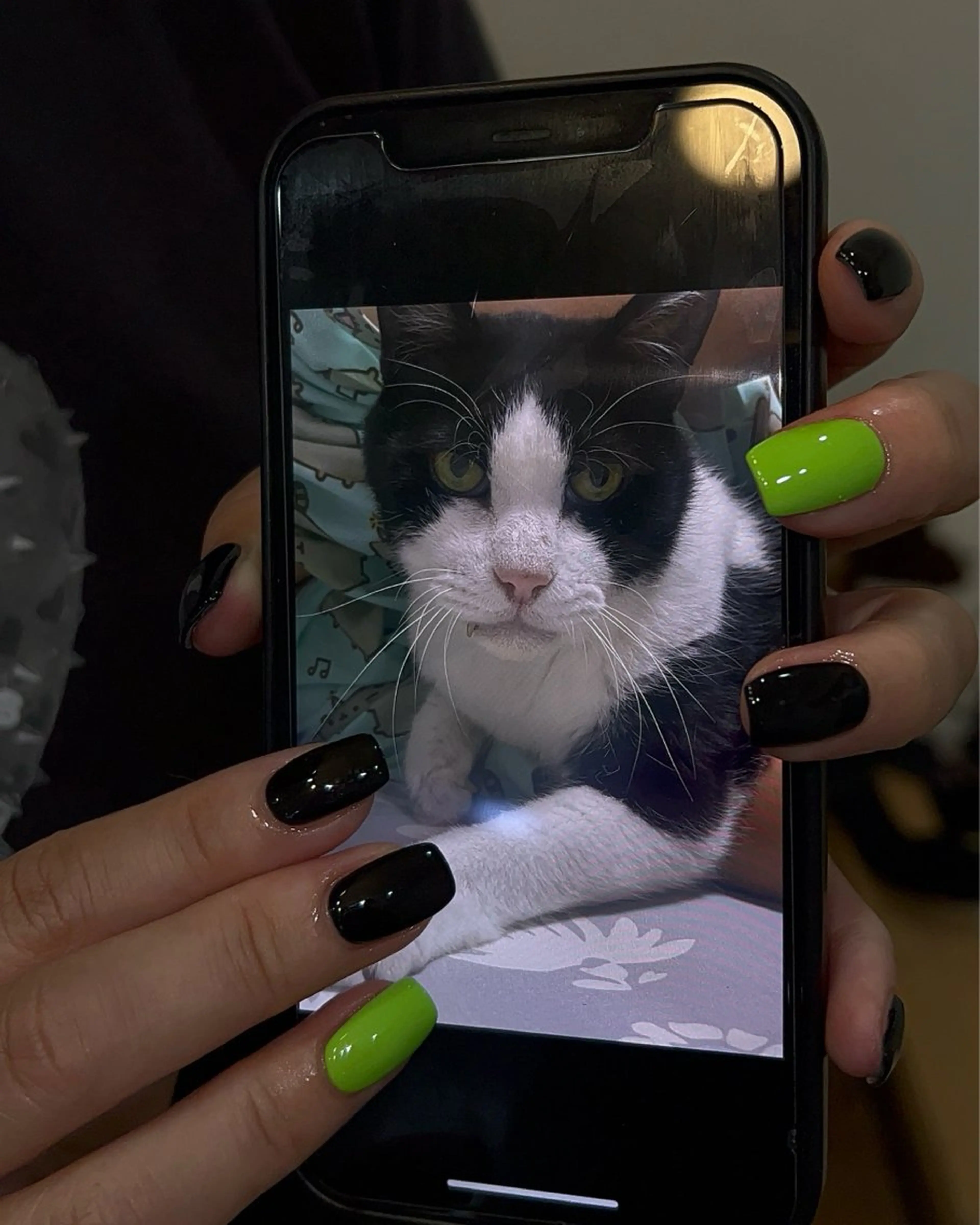 ネイル ハンドネイル フットネイル ハンドケア Nes.Nail所属・Miyagi Asamiのネイルデザイン