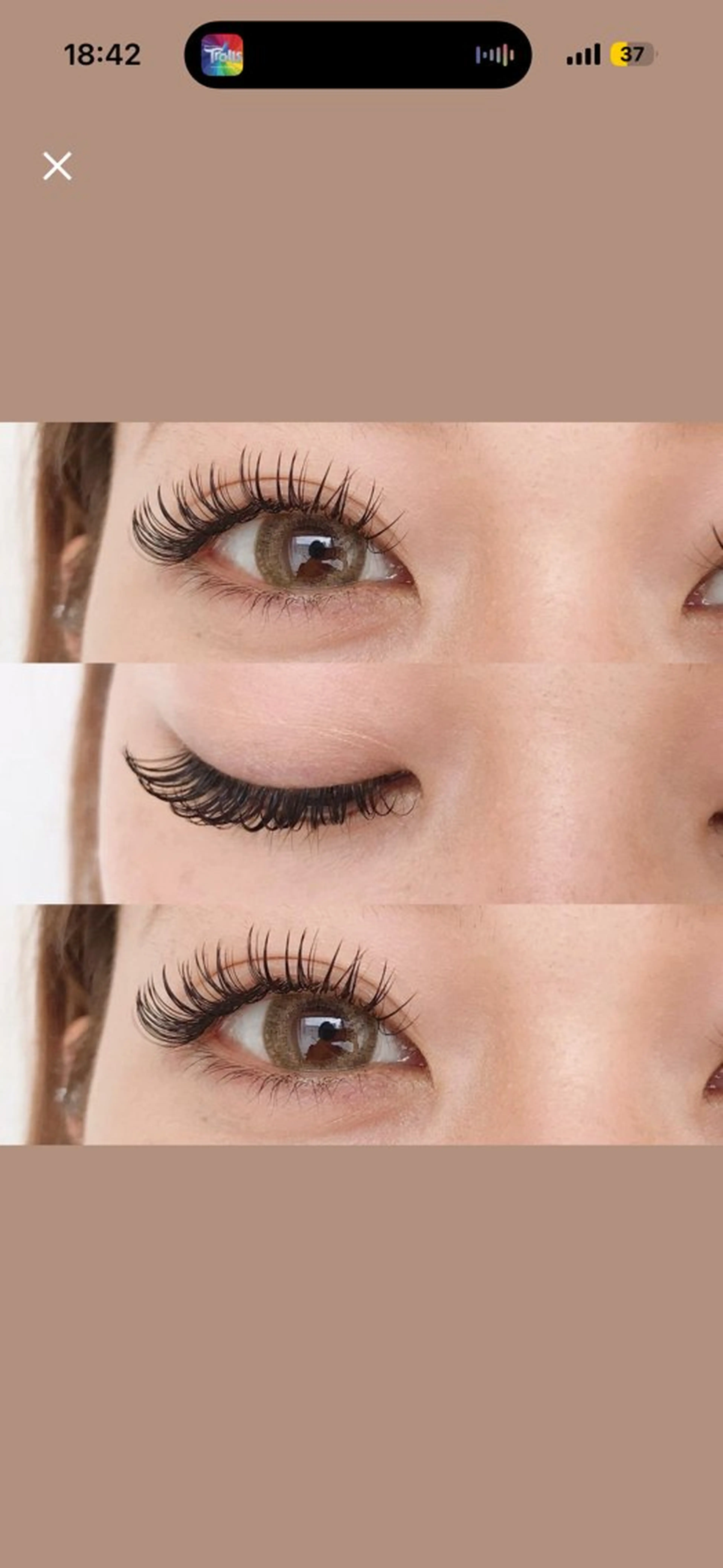 マツエク・マツパ Shucre藤が丘店 💗REINAのマツエク・マツパデザイン