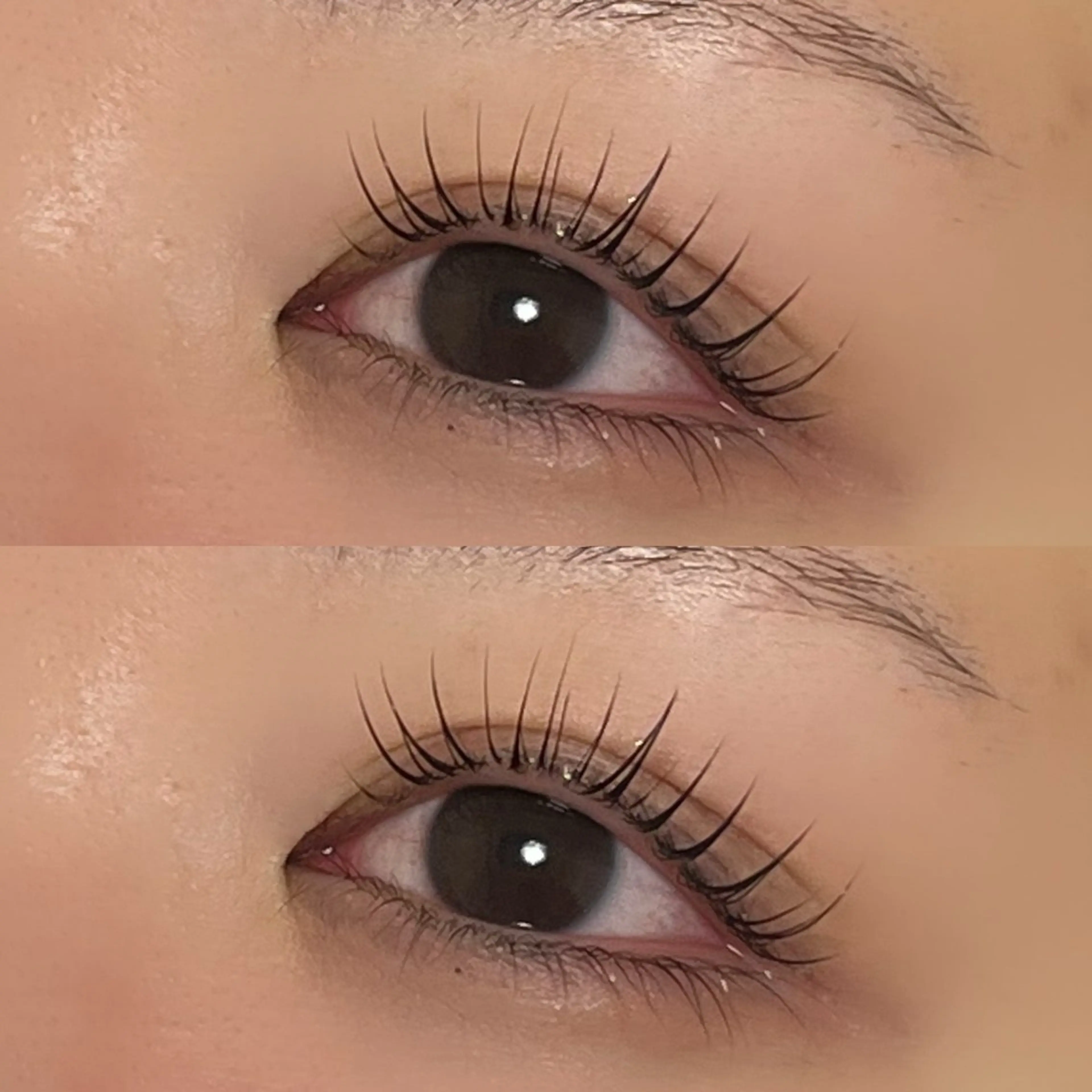 まつ毛パーマ➕エグータム美容液1本➕アイシャンプー付きの写真