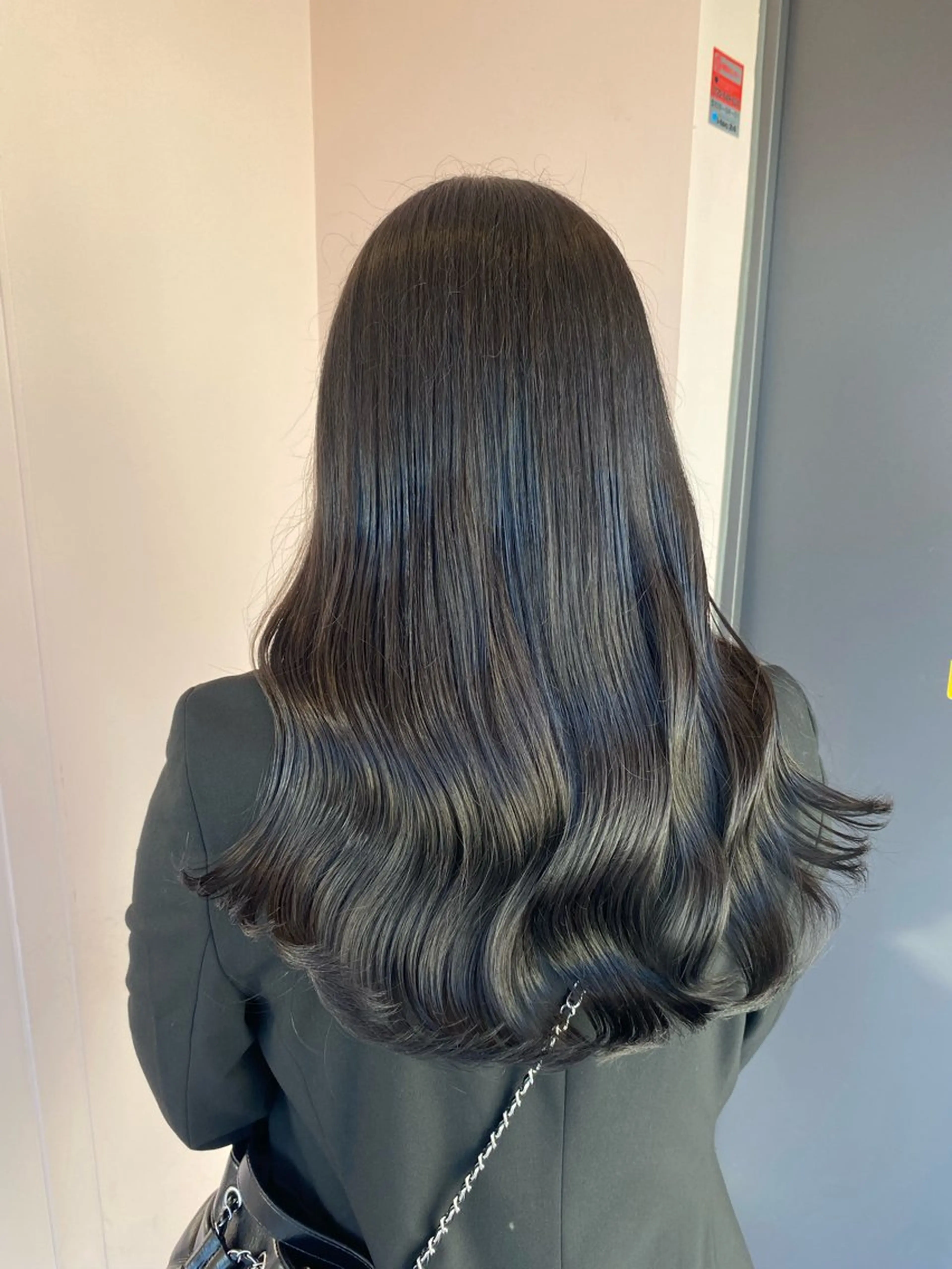 カラー 黒髪 ブリーチ ブリーチなしカラー 楓🦋韓国系レイヤー / 透明感カラー🤍のヘアスタイル