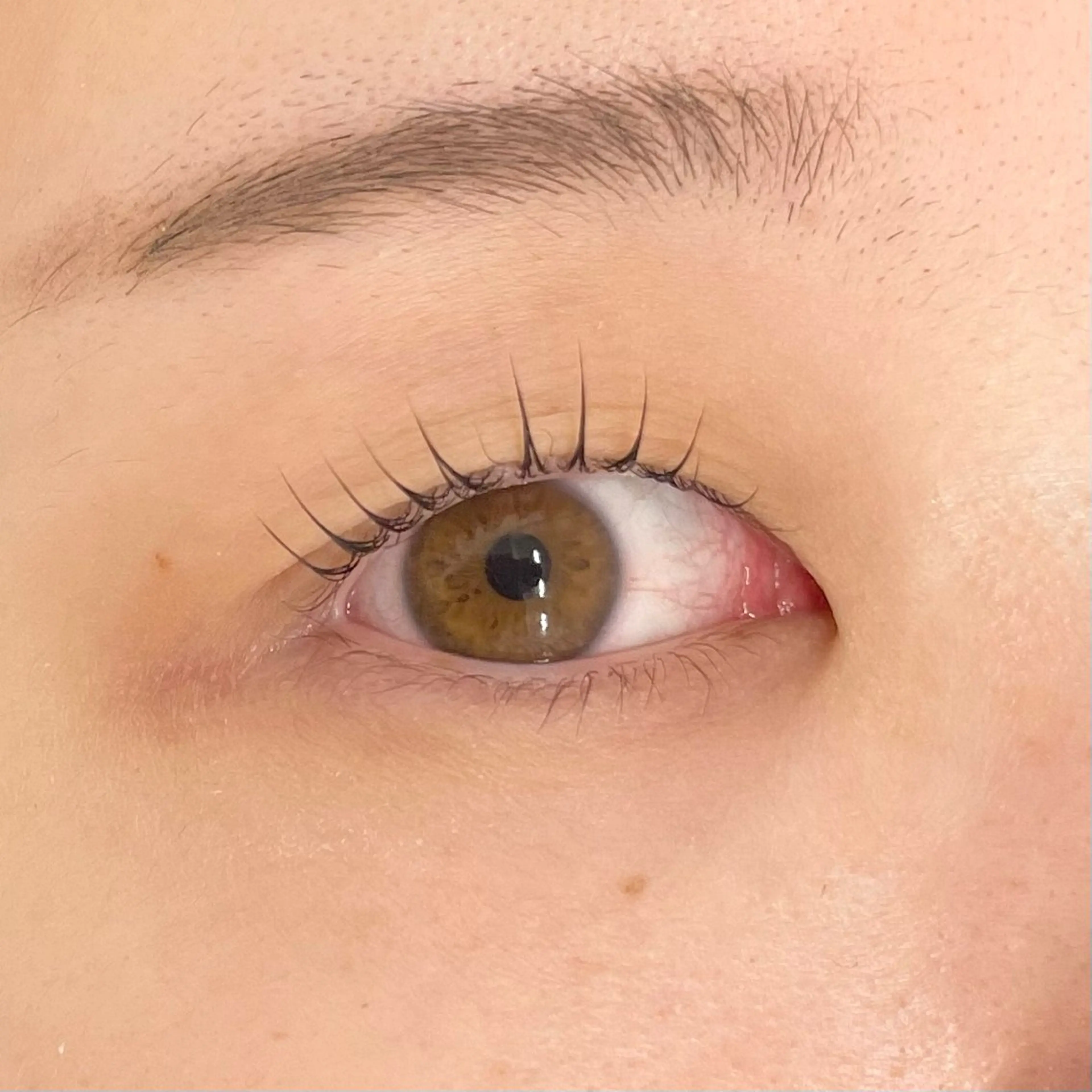 マツエク・マツパ マツパ uland Reaのマツエク・マツパデザイン