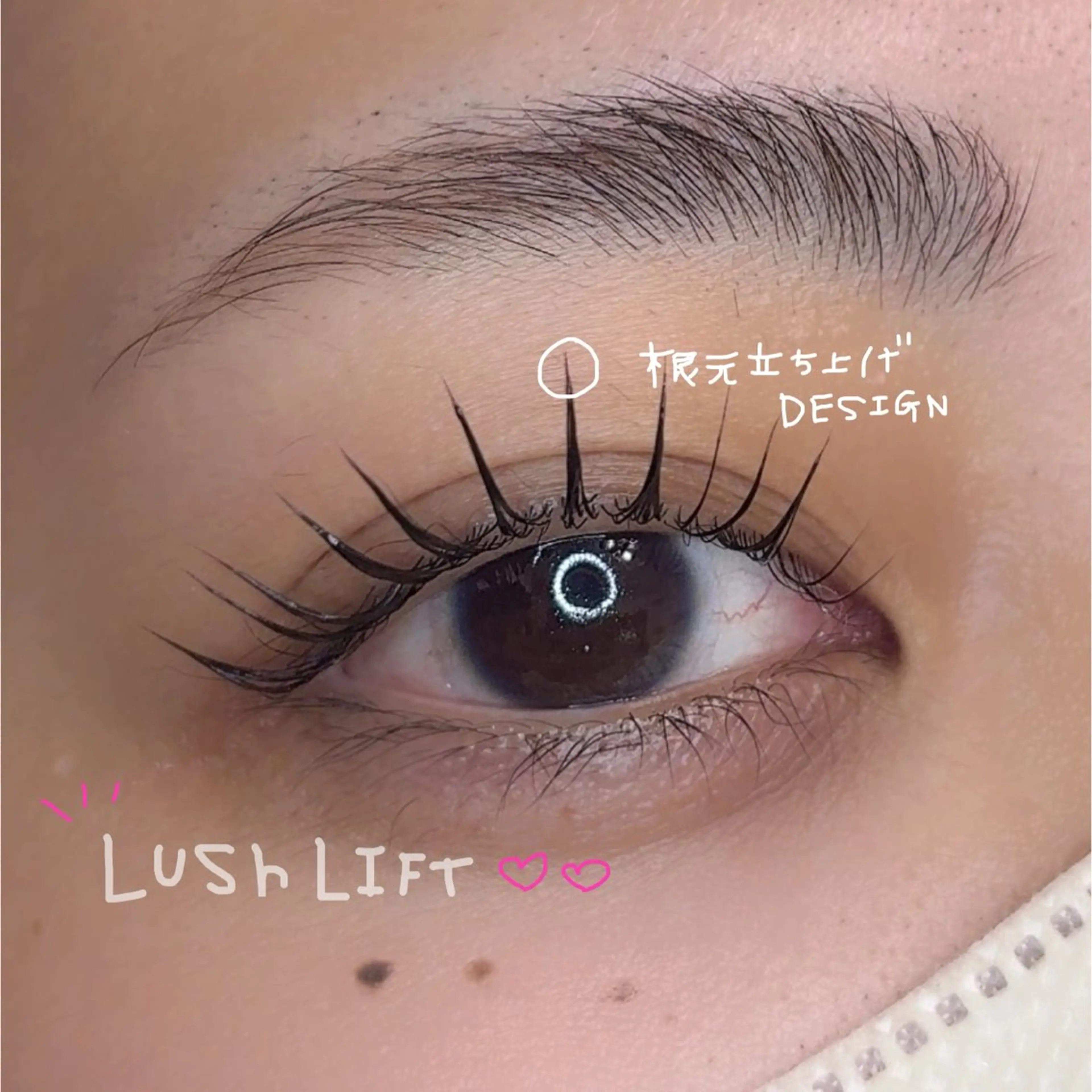 【ミニモ学割】束感まつ毛パーマ🫧アイシャンプー付き🍓の写真