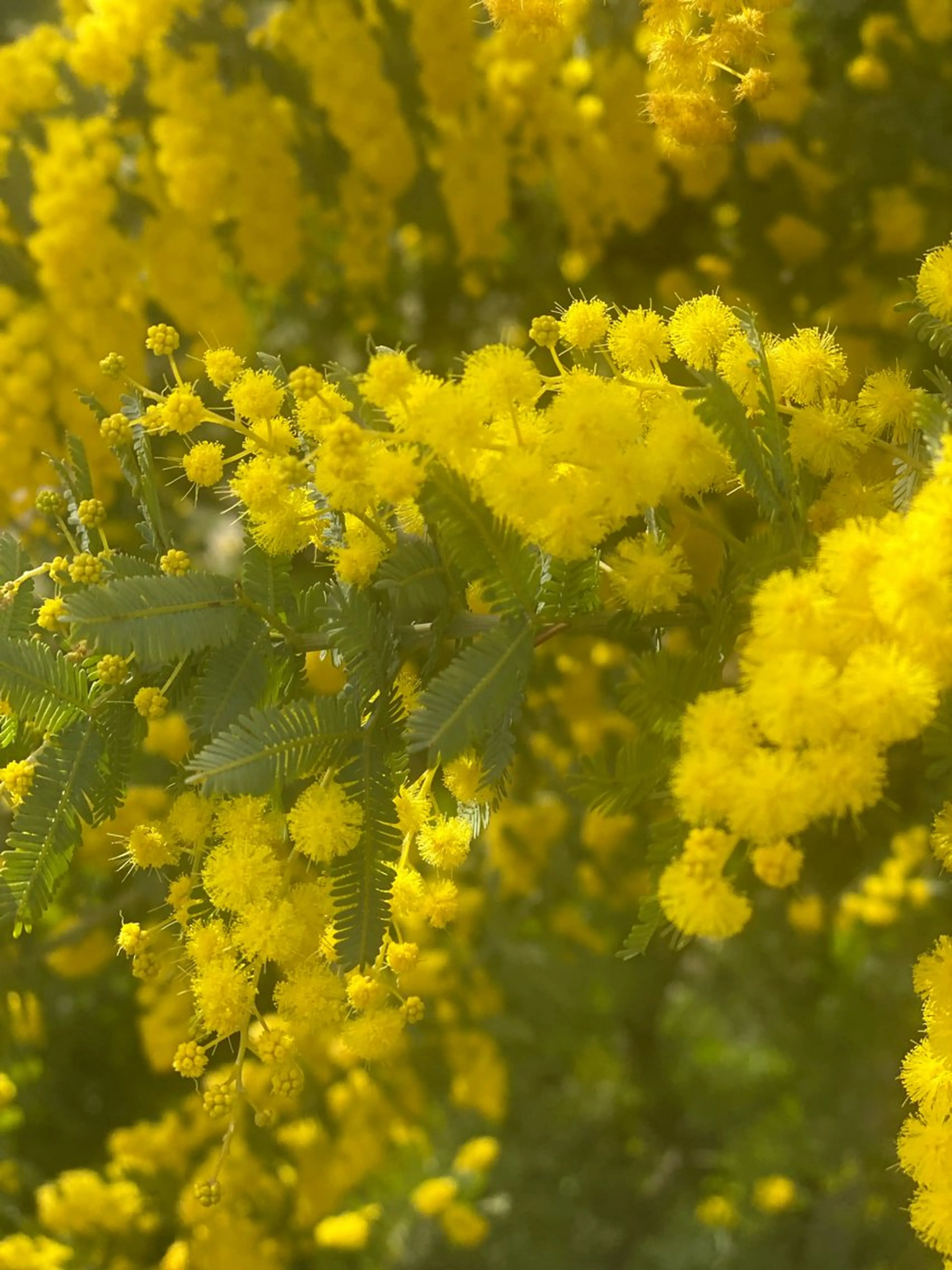 ネイル free hug Hiromiのネイルデザイン