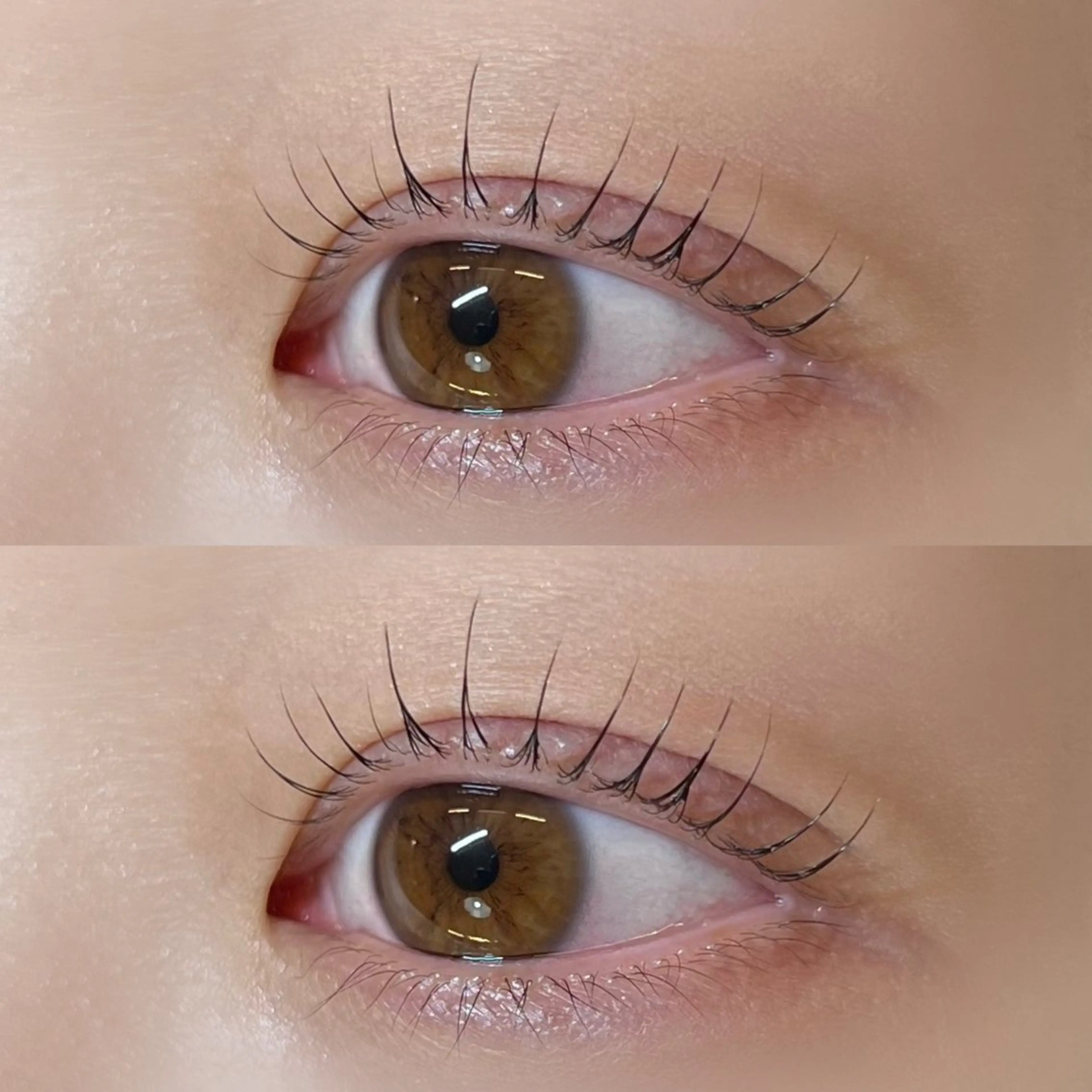 マツエク・マツパ マツパ MADRAS aikaのマツエク・マツパデザイン