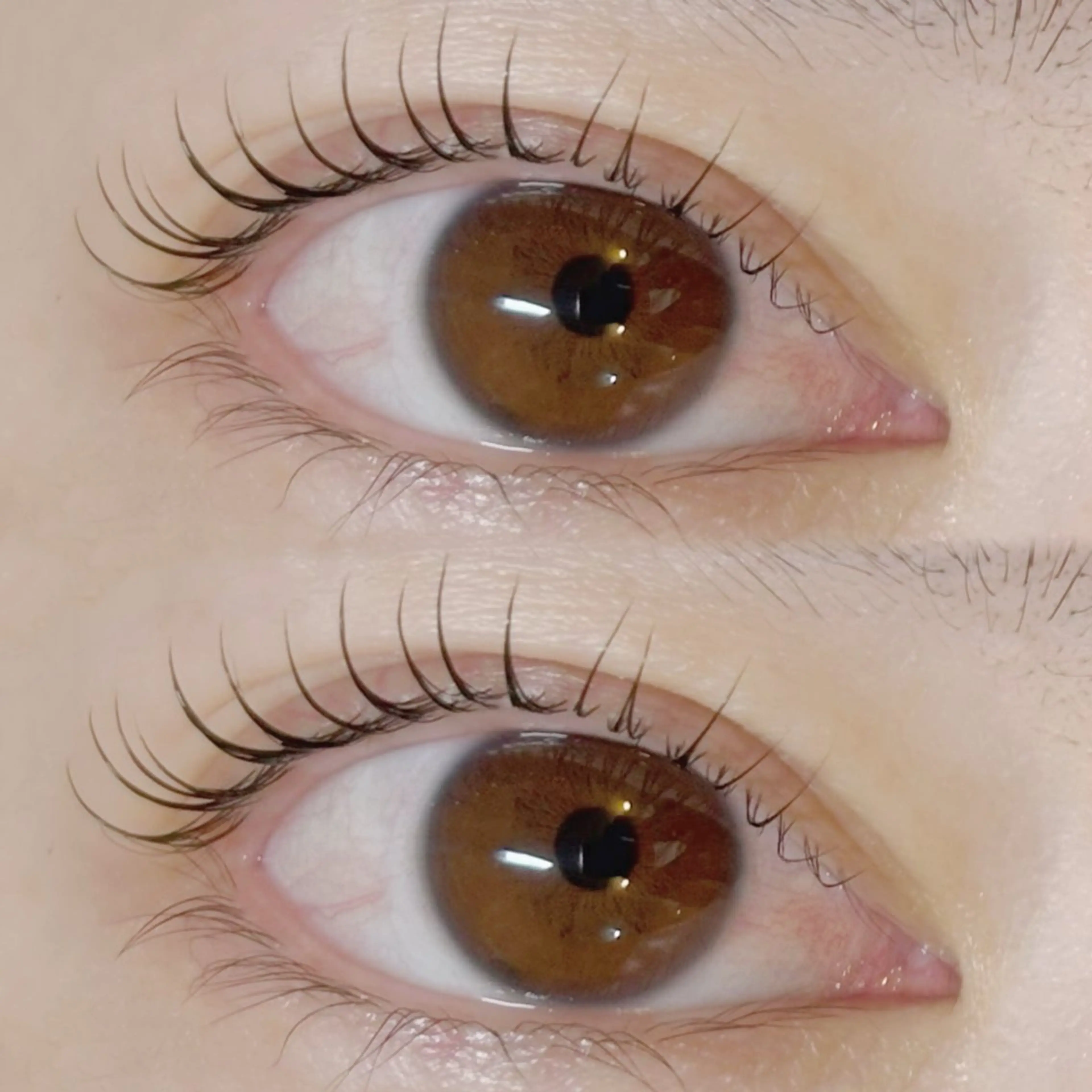 マツエク・マツパ 仙台まつ毛エクステサロンdesignK泉中央店所属・designK佐藤 心咲の眉毛・アイブロウイメージ