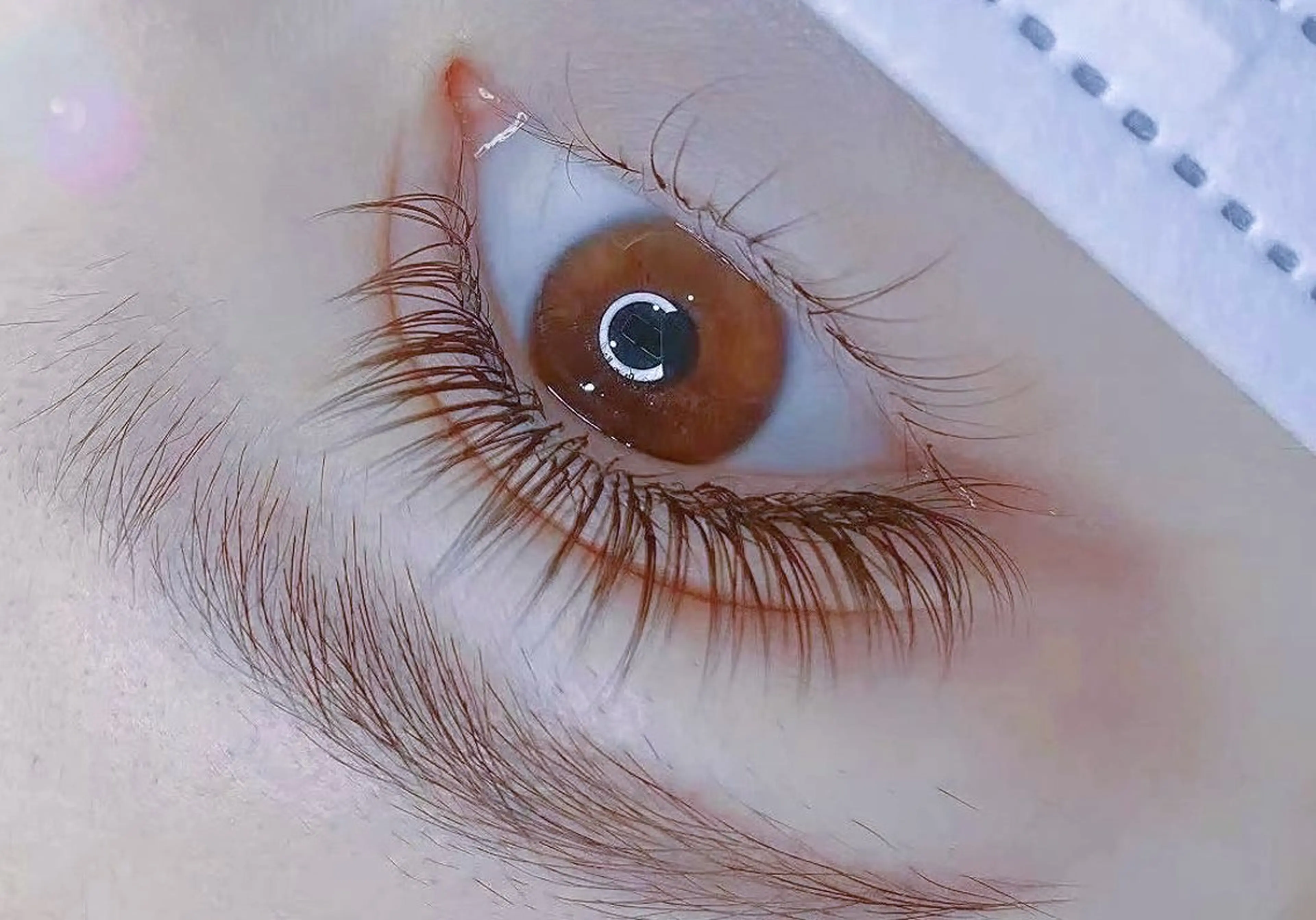 Wフラットラッシュ100束（200本）オフ+600の写真