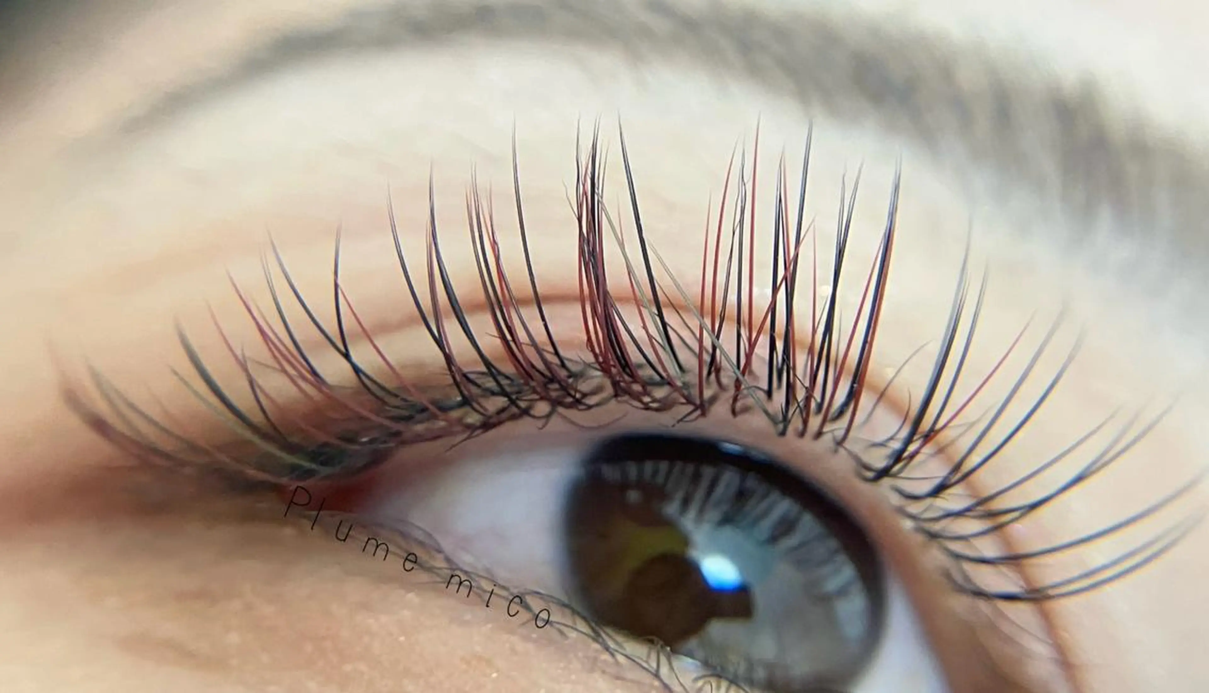 マツエク・マツパ マツエク Plume micoのマツエク・マツパデザイン