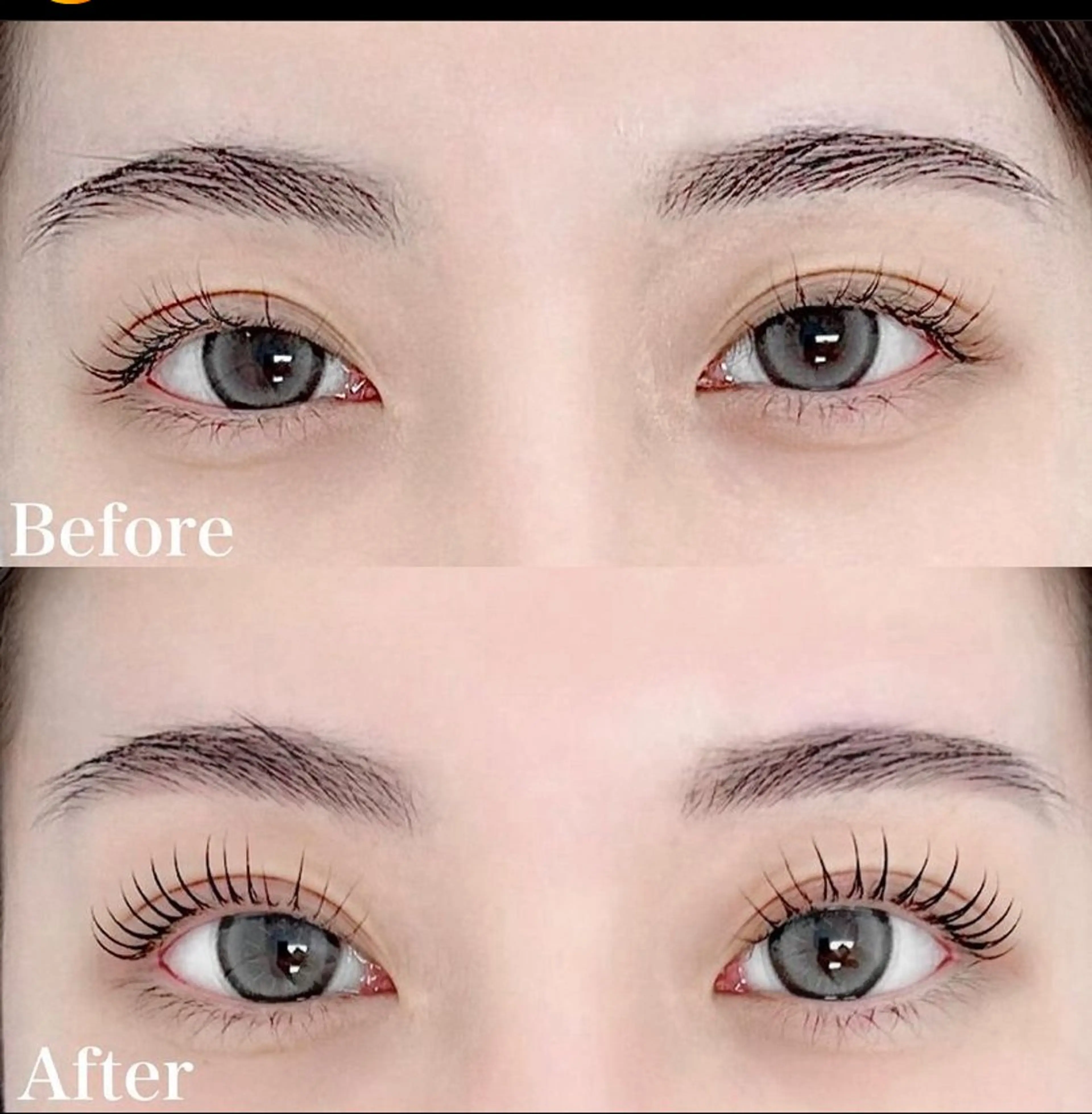 🇰🇷韓国式まつげパーマ🇰🇷【上のみ】の写真