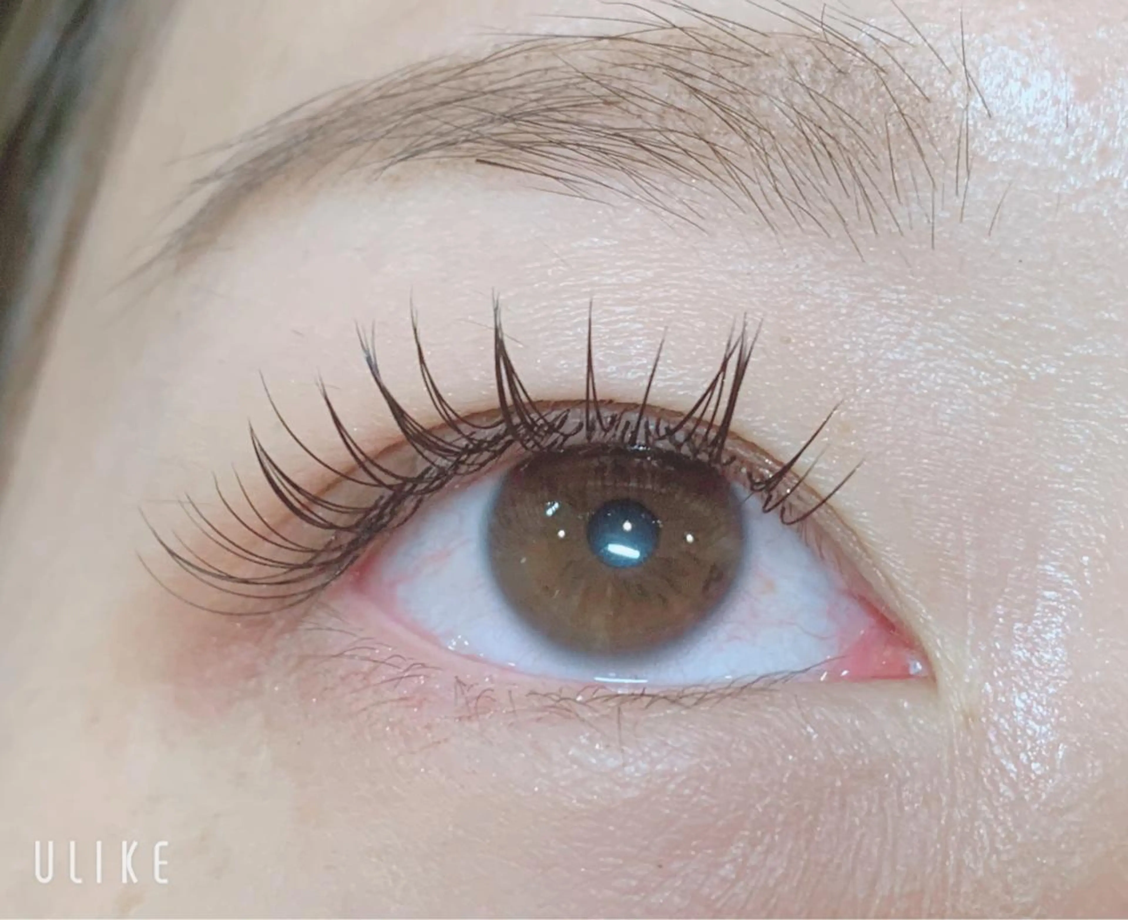 マツエク・マツパ フラットラッシュ マツエク fan.germe 副店長MIYABIのマツエク・マツパデザイン