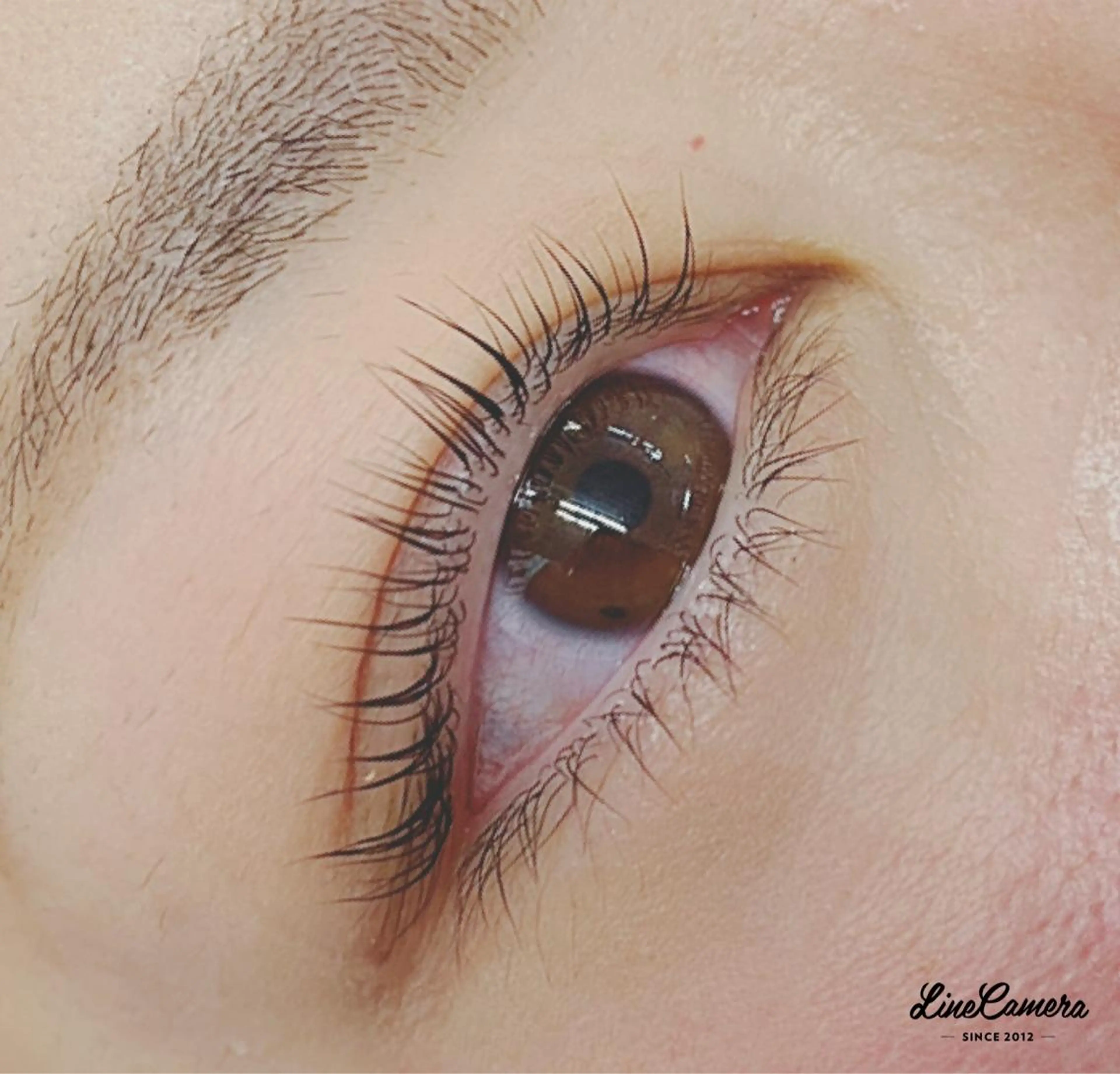 マツエク・マツパ 一重×まつ毛パーマ MAQUIA船橋店 奥山のマツエク・マツパデザイン