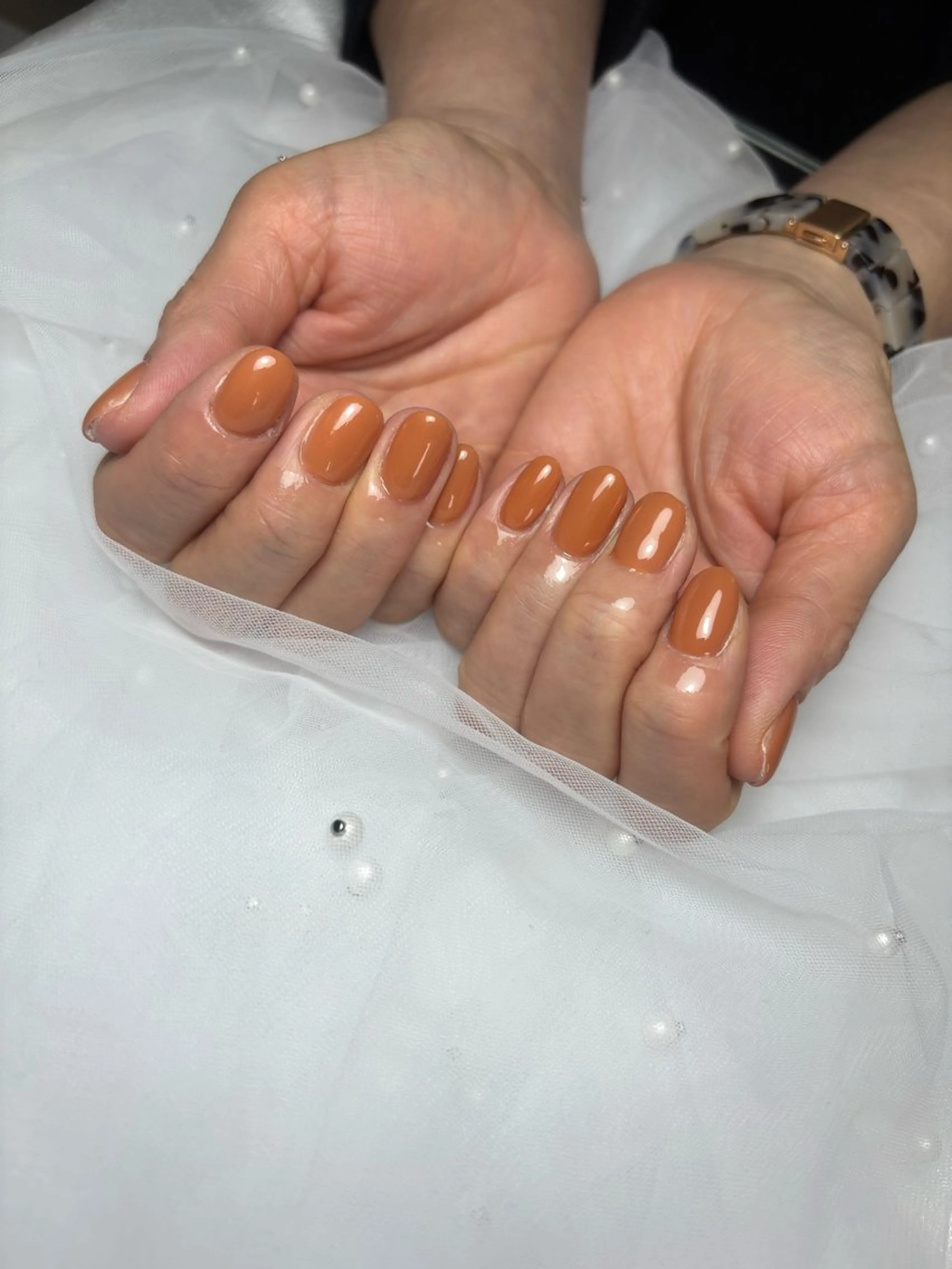 ワンカラー(オフ無有)の写真