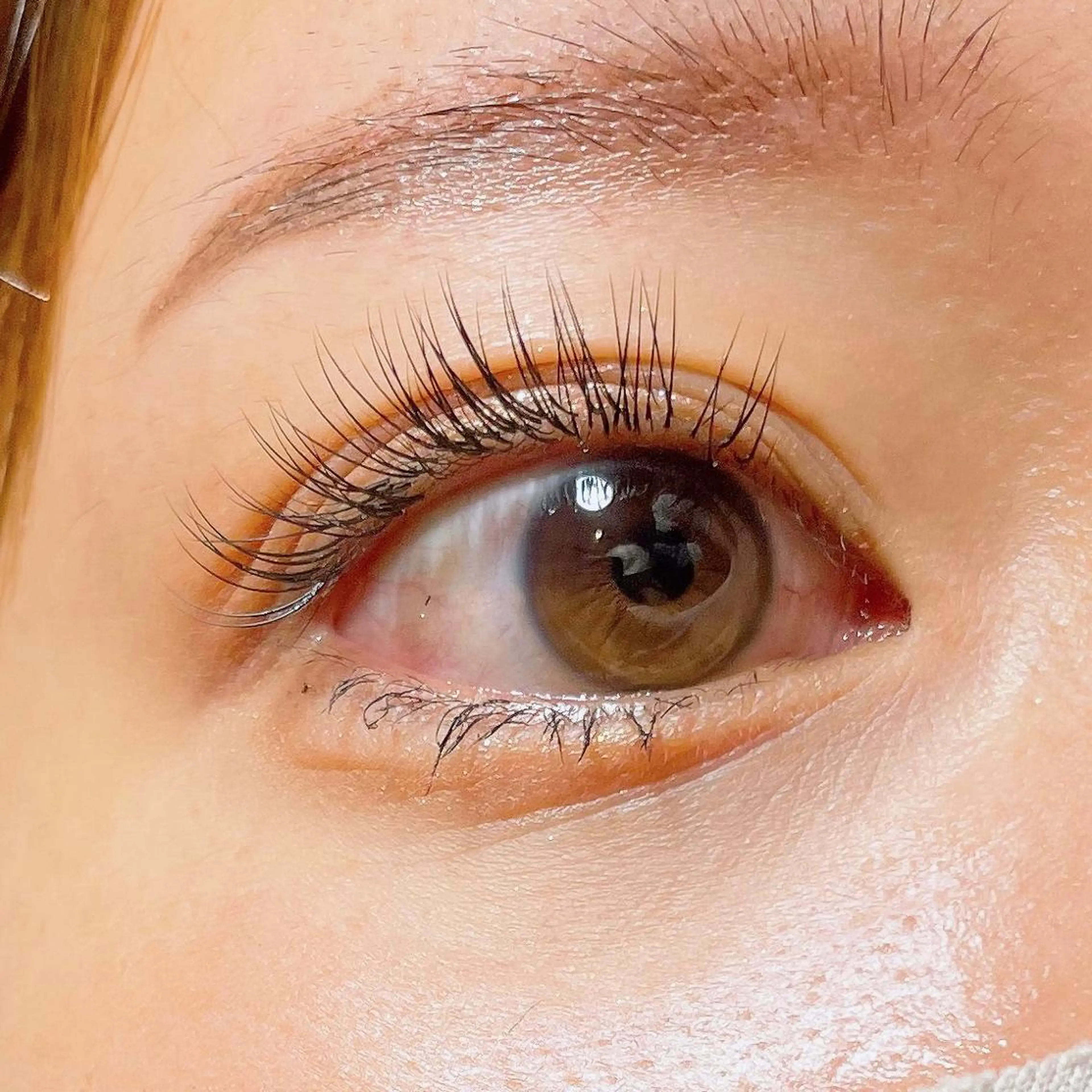 マツエク・マツパ ナチュラル 玉木 愛の眉毛・アイブロウイメージ