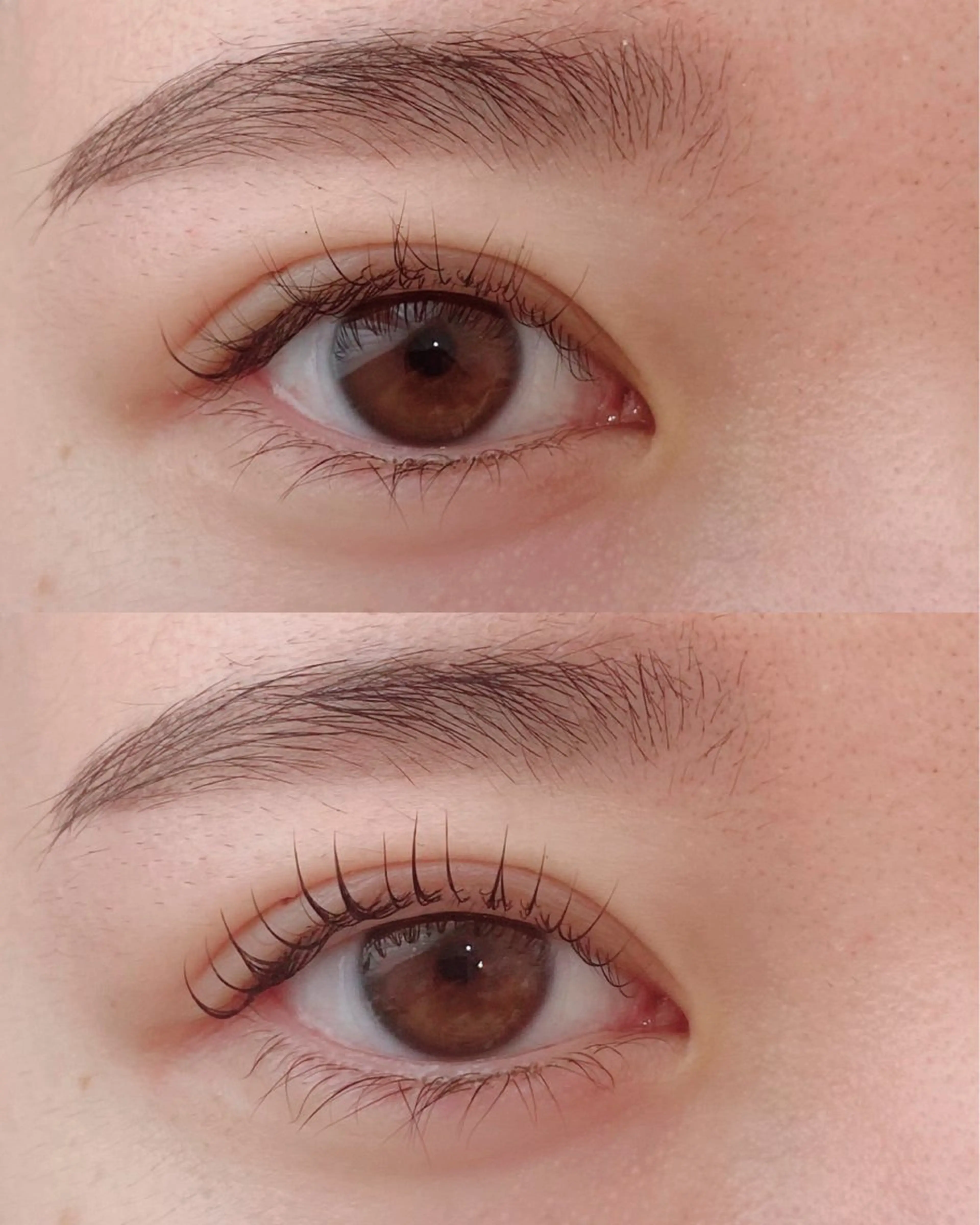 マツエク・マツパ まつげパーマ マツパ 🫧SATOMI 草加駅5分メンズ眉毛の眉毛・アイブロウイメージ