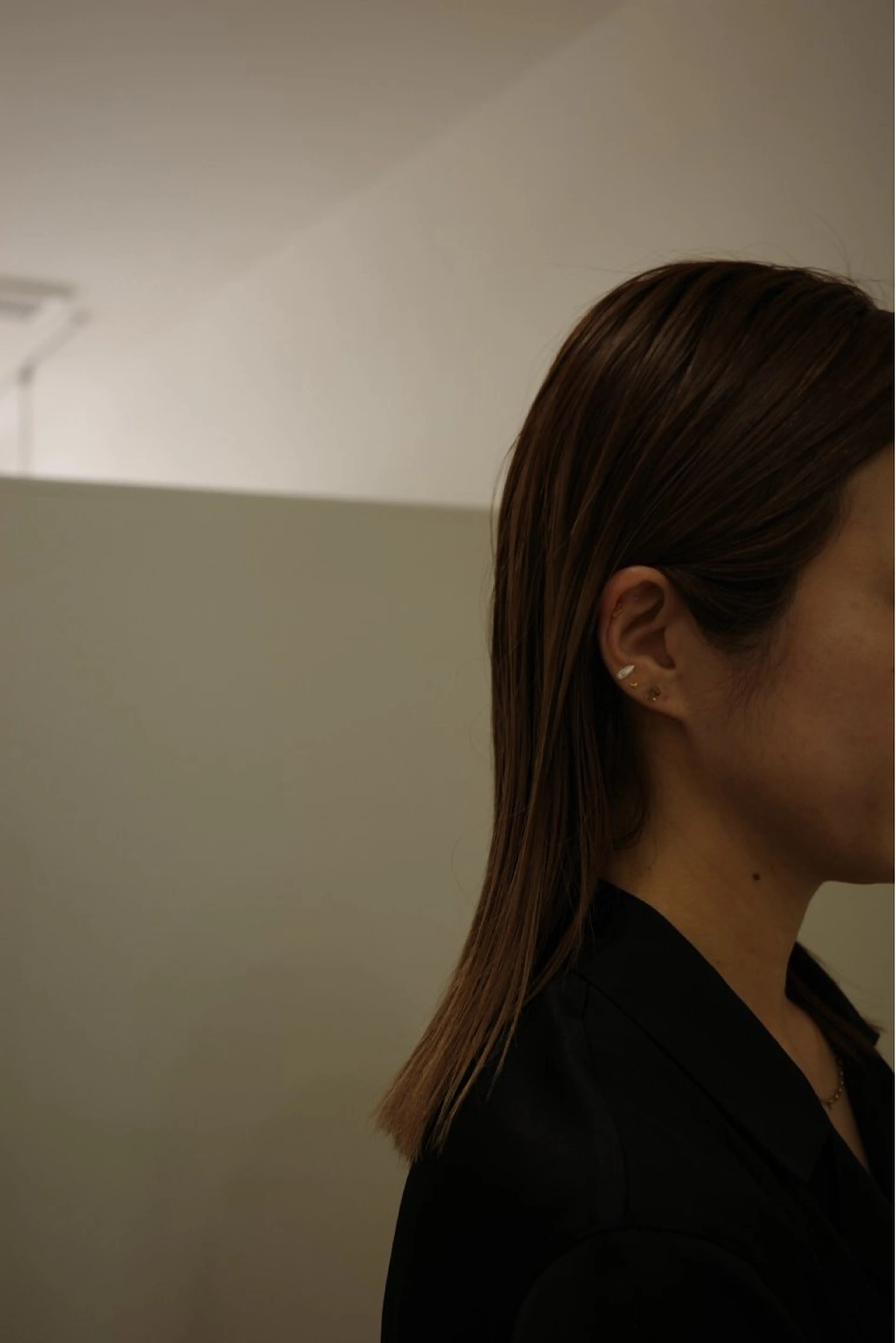 ニュアンス耳ツボジュエリー（両耳パーツ10粒＋5粒）ご新規様限定価格の写真